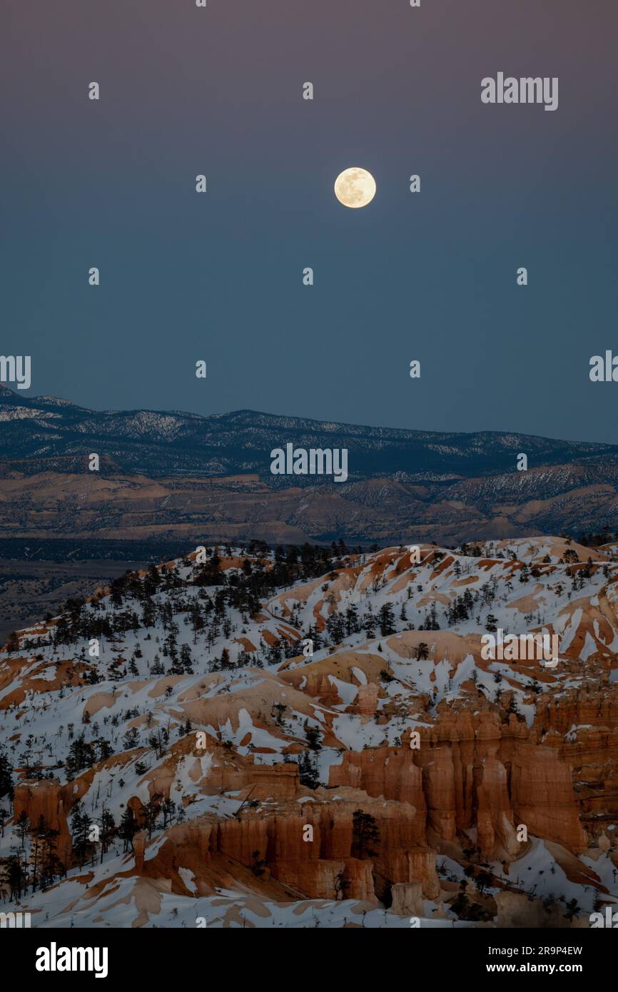 Vollmond über dem Bryce Canyon-Nationalpark Stockfoto