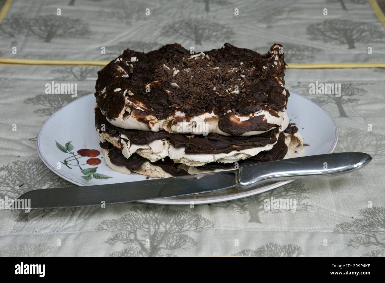 Schokoladen-Kaffee-Torte ungekürzter Dekorationsteller Stockfoto