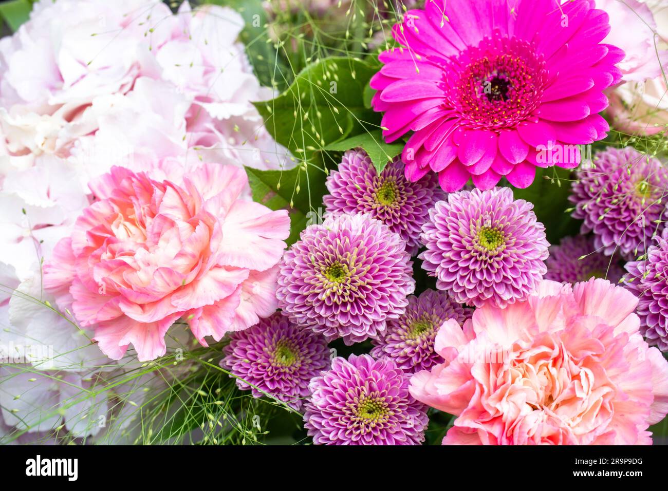 Nahaufnahme von einem Haufen rosa Blumen mit einer Gänseblümchengerbera, Dahlien und Pfingstrosen Stockfoto