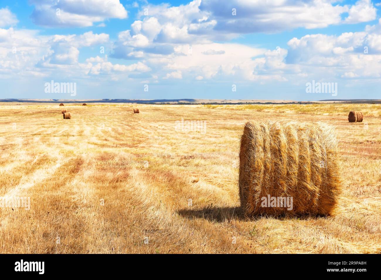 Landschaftsheuhaufen auf dem Feld und blauer Himmelshintergrund. Das Feld Landwirtschaft beherbergt das gelbe Feld auf dem Lande. Heuhaufen auf einem Feld geerntet Stockfoto