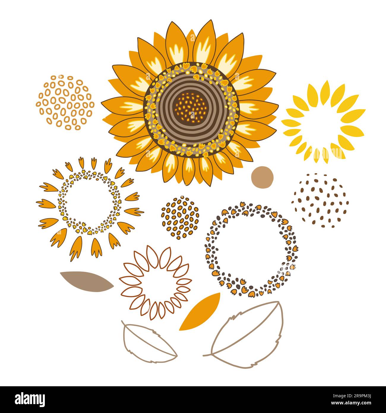Set mit stilvollen Sonnenblumenblüten, isoliert auf weißem Hintergrund. Stock Vektor