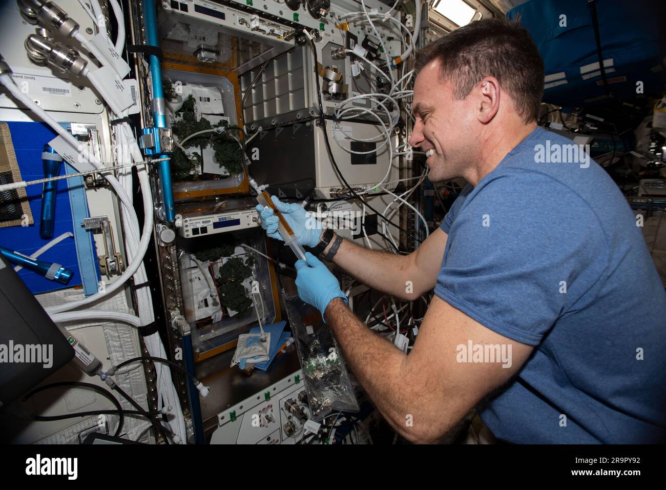 . Iss068e045013 (2. Februar 2023) - NASA Astronaut und Expedition 68 Flugingenieur Josh Cassada verwendet eine Gießspritze zum Bewässern von Tomatenpflanzen für das Veg-05-Experiment, den nächsten Schritt bei den Bemühungen, die Notwendigkeit eines kontinuierlichen Produktionssystems für frische Lebensmittel im Weltraum anzugehen. Im Rahmen des Experiments werden in der Anlage Veggie der Raumstation Zwergtomaten angebaut, die in den frühen Wachstumsstadien auf der Station auf dem unteren Foto zu sehen sind. Das Experiment untersucht den Einfluss von Lichtqualität und Düngemitteln auf die Fruchtproduktion, die mikrobielle Lebensmittelsicherheit, den Nährwert und die Akzeptanz des Geschmacks. Pflanzen können auch en Stockfoto