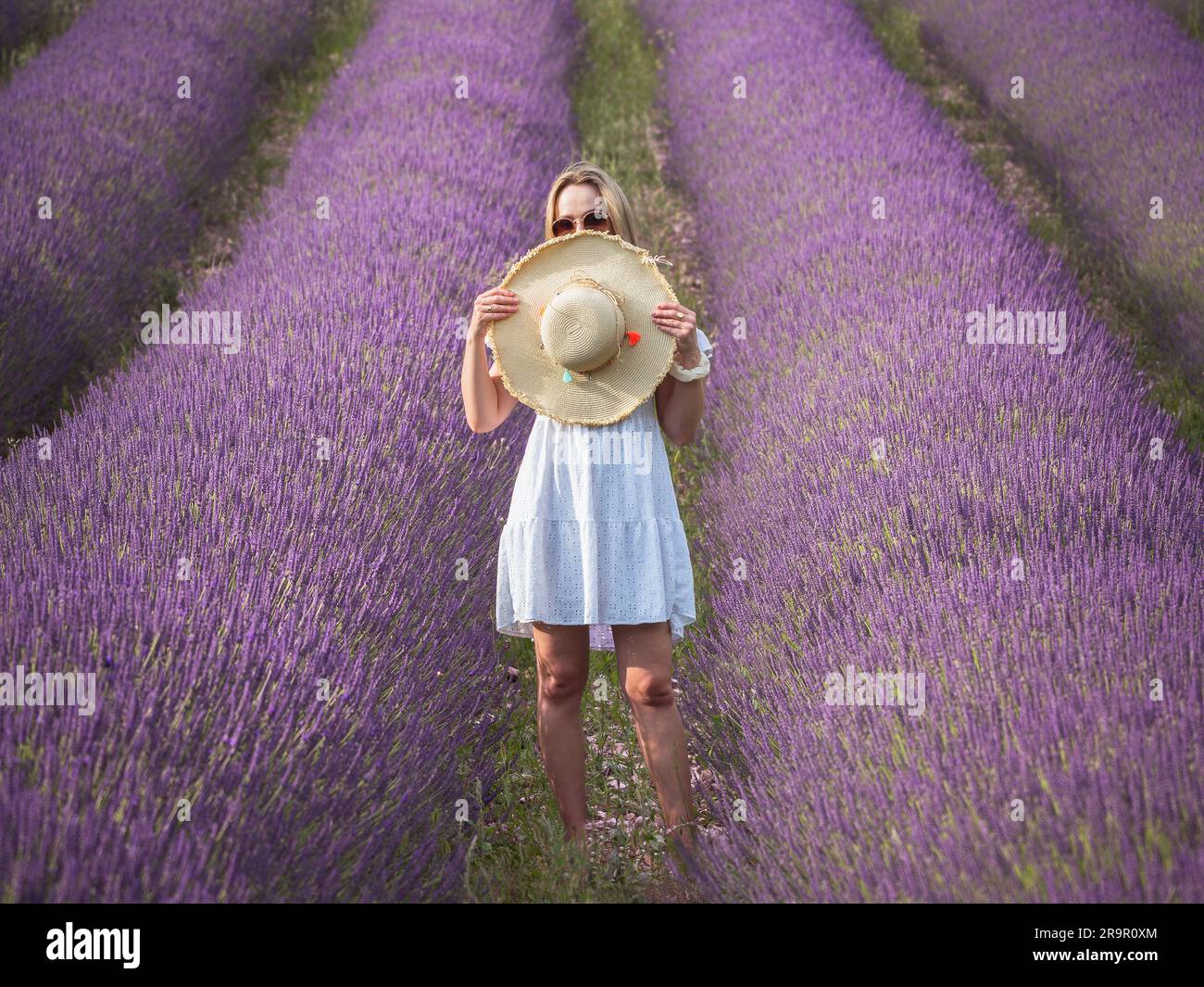Ein junges Mädchen auf den Lavanderfeldern. Frankreich - Provence Stockfoto
