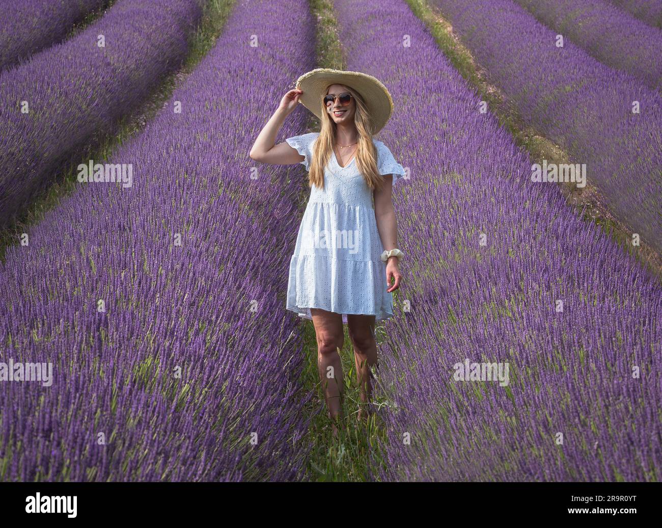 Ein junges Mädchen auf den Lavanderfeldern. Frankreich - Provence Stockfoto