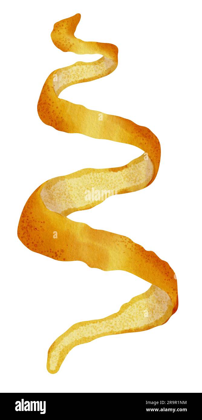 Spirale Orange Zest. Handgezeichnete Aquarelldarstellung von Citrus Twist Peel auf weißem isoliertem Hintergrund. Zeichnung der Rinde von tropischen Früchten für das Produktetikett. Skizze der Zutaten zum Kochen. Stockfoto