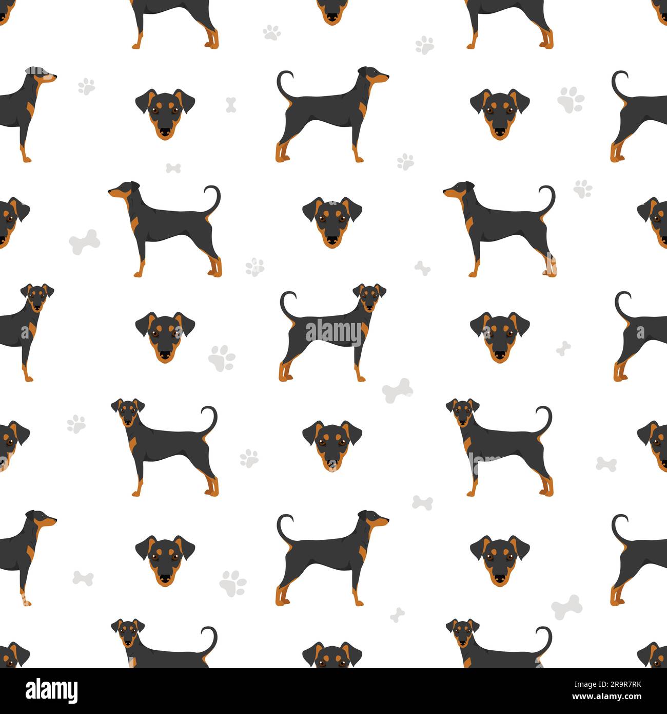 Deutsch Pinscher nahtlose Muster. Verschiedene Posen, Fellfarben eingestellt. Vektorgrafik Stock Vektor