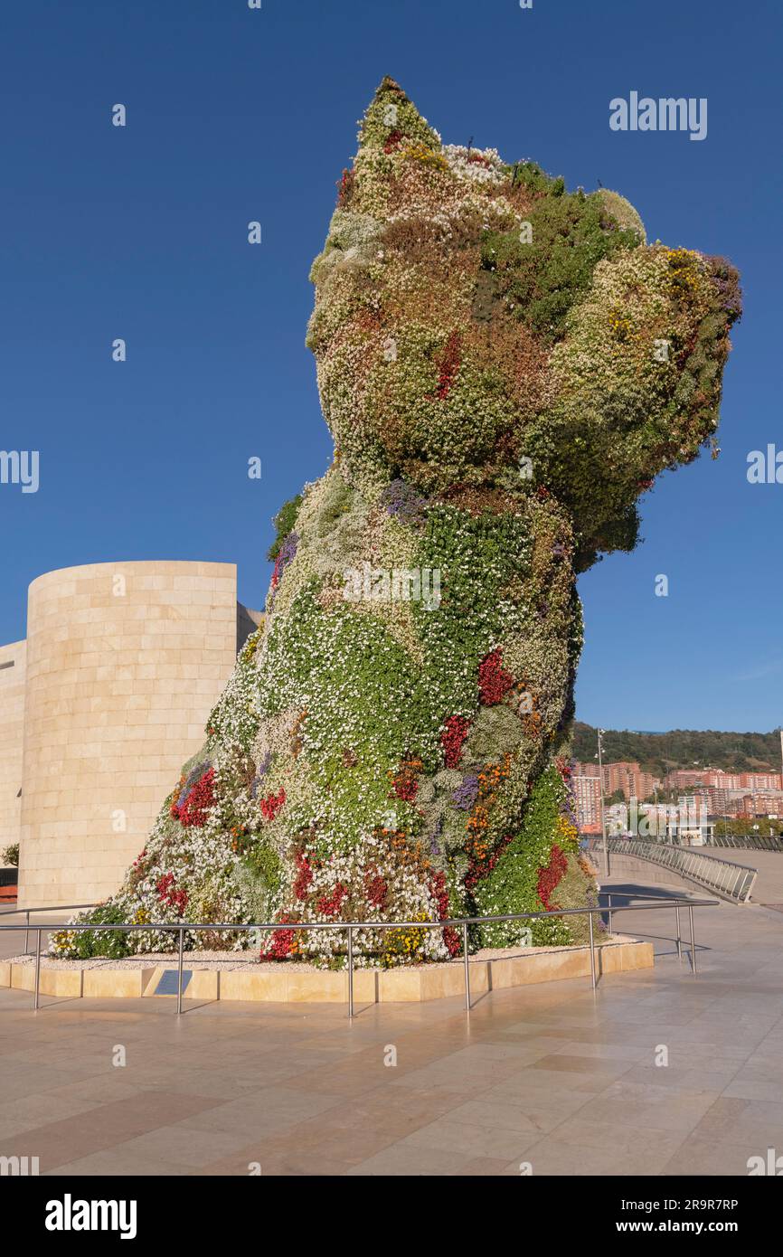 Spanien, Baskenland, Bilbao, Guggenheim Museumsviertel, Hündchen, eine 12,4 Meter hohe, mit Blumen bedeckte Skulptur eines westlichen Hochland-Terrier von Amerika Stockfoto