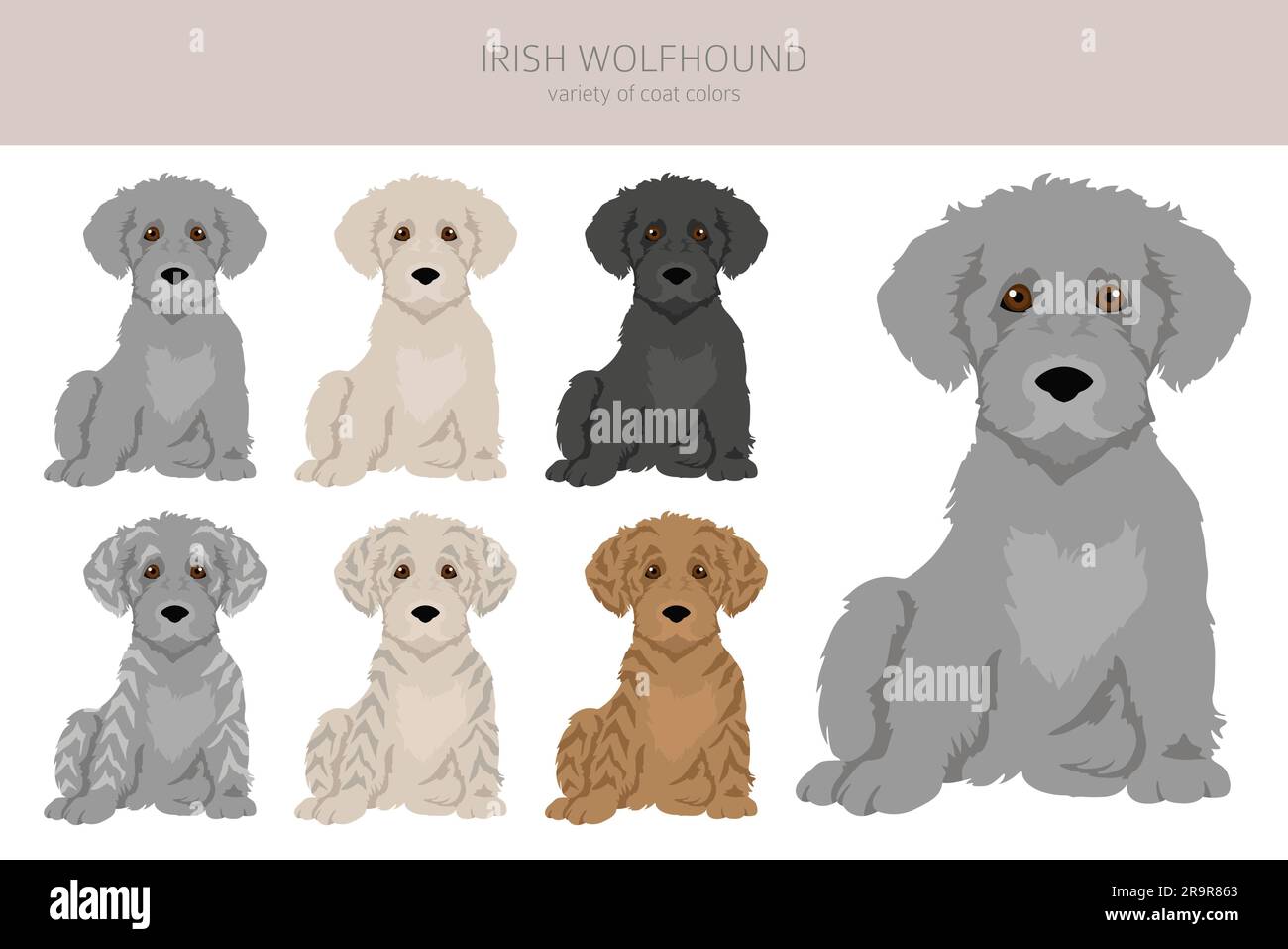 Irische Wolfshund-Welpen am Clipart. Verschiedene Posen, verschiedene Mantelfarben. Vektordarstellung Stock Vektor