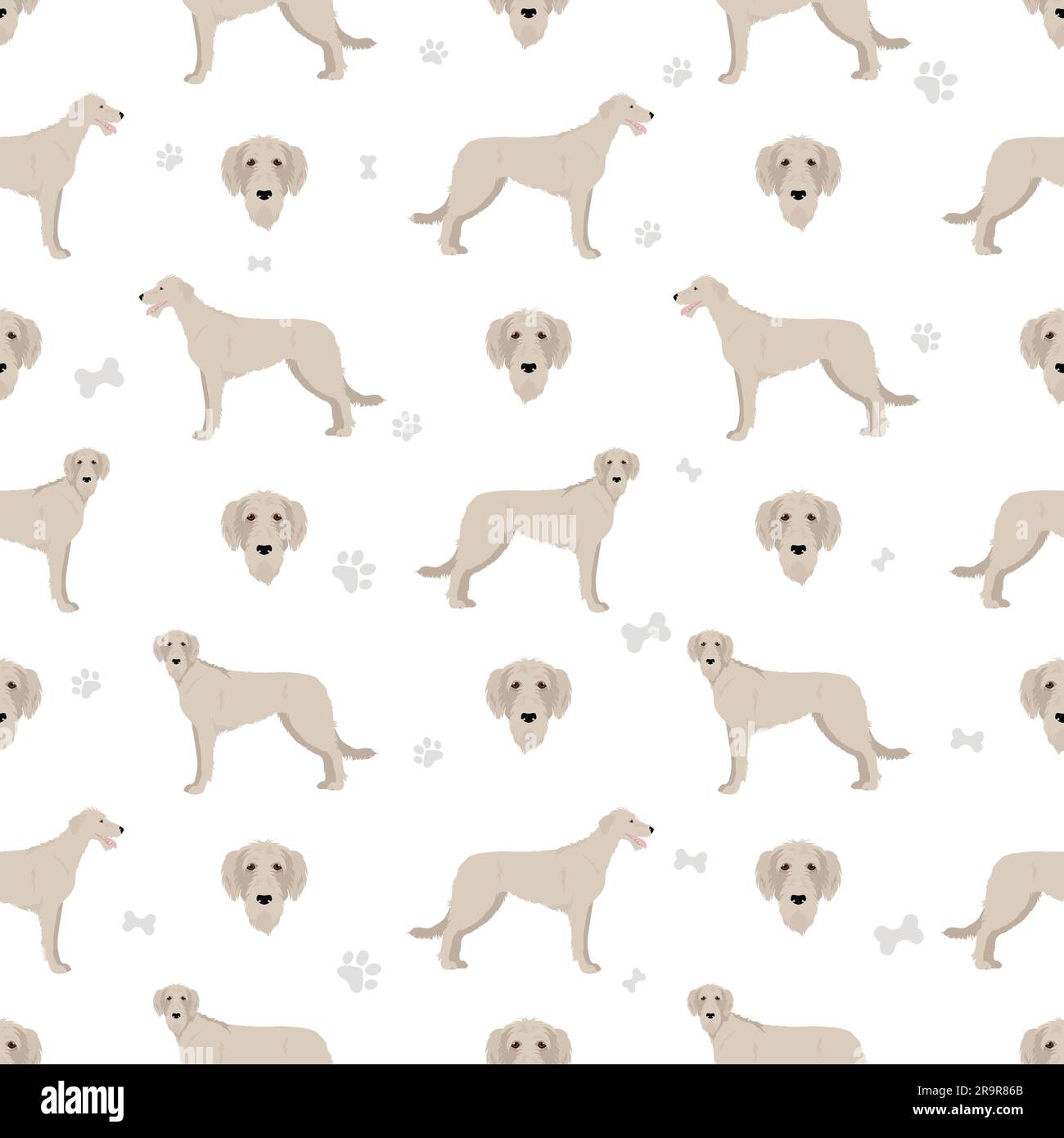 Irish Wolfhound nahtloses Muster. Verschiedene Posen, Fellfarben eingestellt. Vektorgrafik Stock Vektor