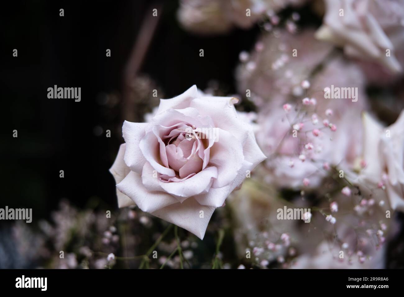 Wunderschöne Blumenarrangements mit Blumenstrauß-Hochzeit mit Rosen, Kerzen und dem Atem des Babys in einem üppigen botanischen Garten mit Treppe und Bogen. Stockfoto