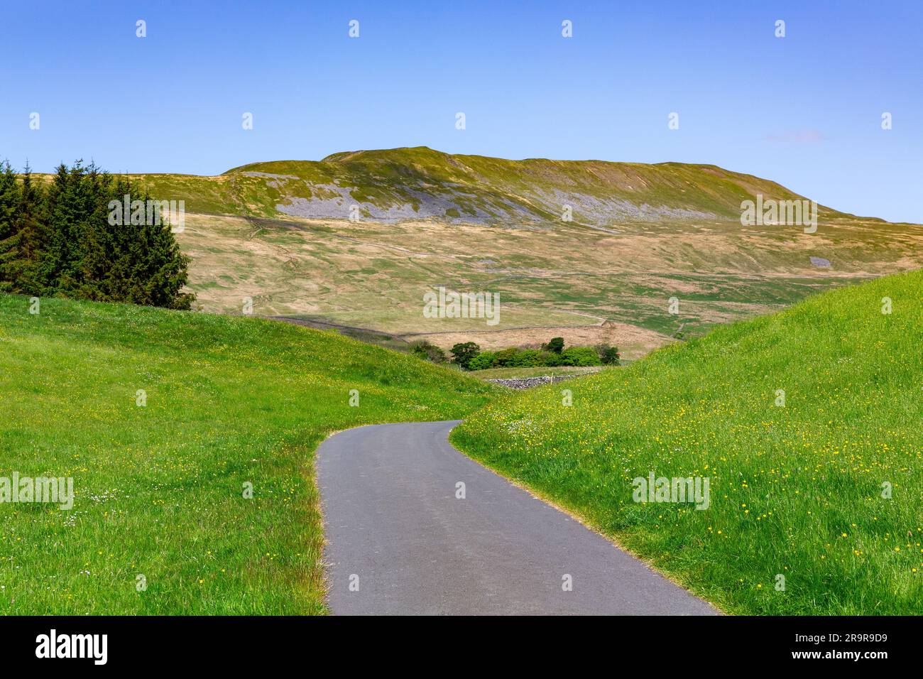 Blick über die North Yorkshire Dales mit Whernside in der Ferne. Mit 736 m ist er der höchste der drei Gipfel. Schmale Straße oder Pfad mit Kurve. Stockfoto