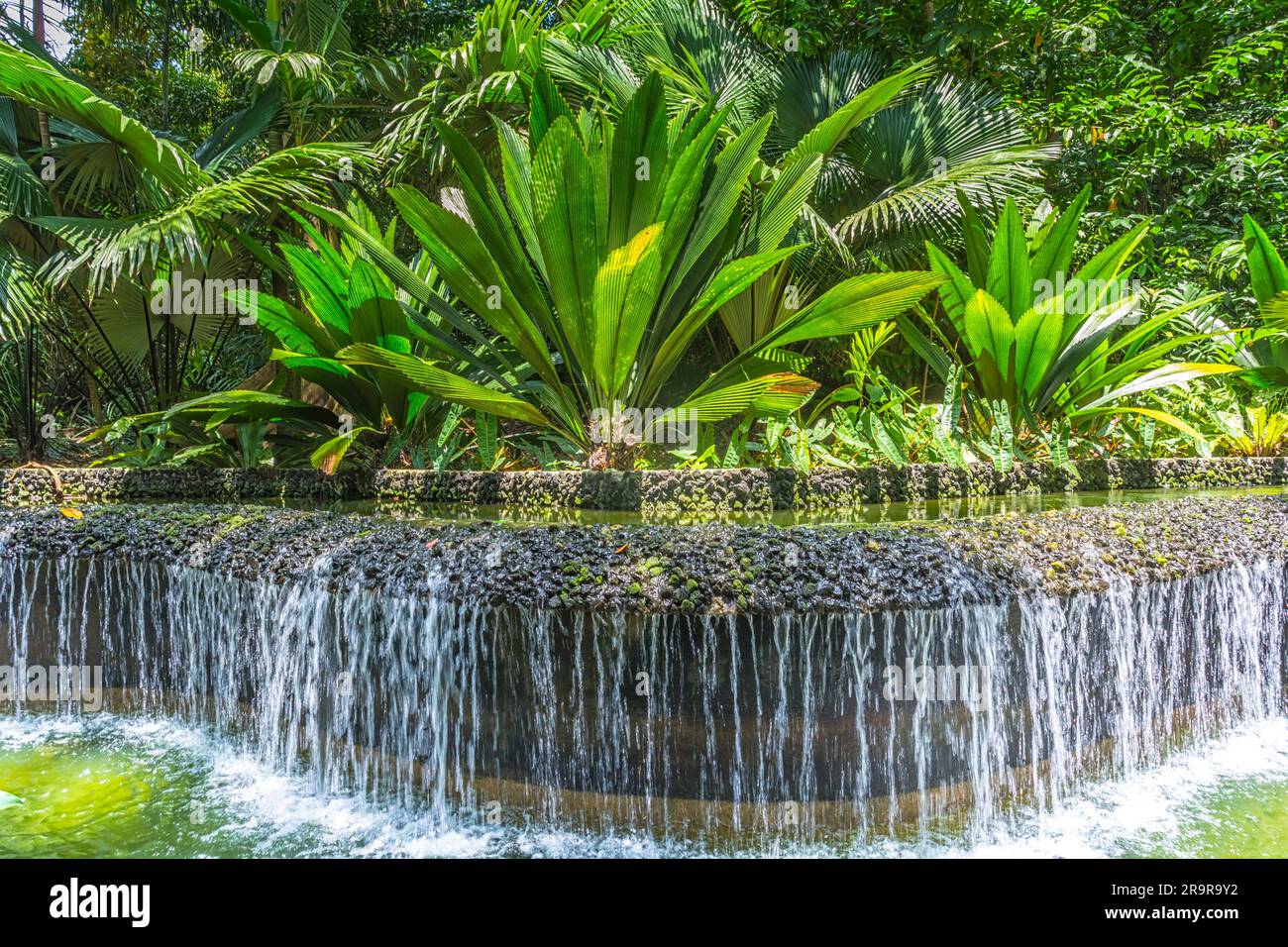 Wasserfall in den botanischen Gärten von Singapur Stockfoto