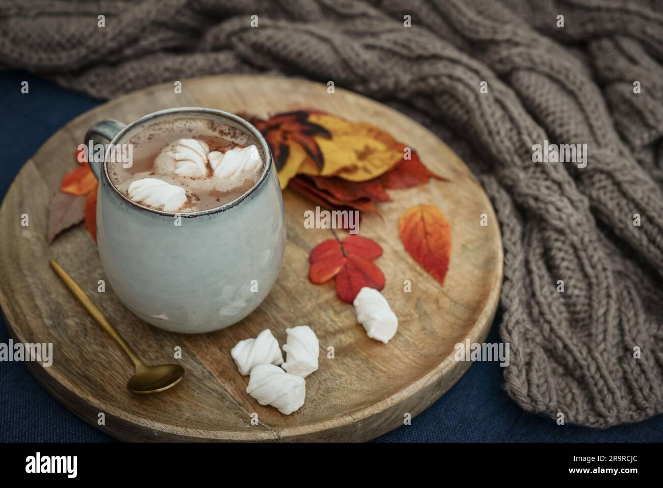 Eine Tasse köstlicher heißer Kakao mit Marshmallow und bunten Blättern im Herbst auf einem runden Holztablett Stockfoto