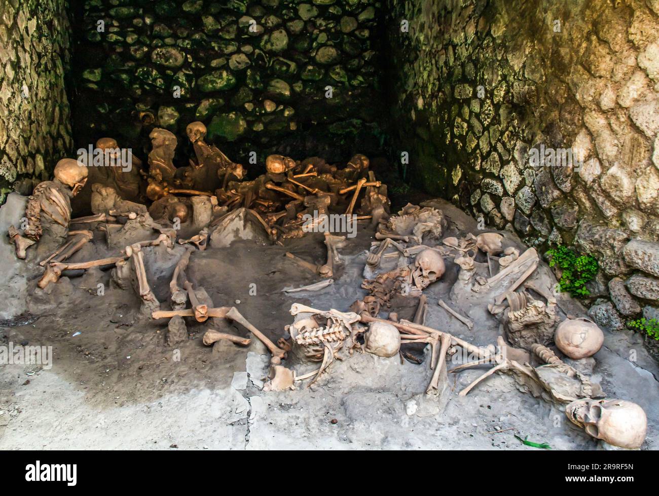 Diese Skelette in Herculaneum, Italien, sind die Überreste von Personen, die durch die pyroklastische Explosion des Vesuvs im Jahr 79 CE getötet wurden. Stockfoto