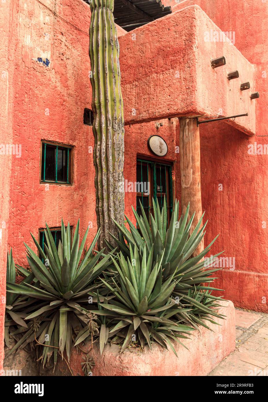 Typisches Gebäude im Adobe-Stil in Lareto, Mexiko, mit Kaktus- und Aloe-Vera-Pflanzen. Stockfoto