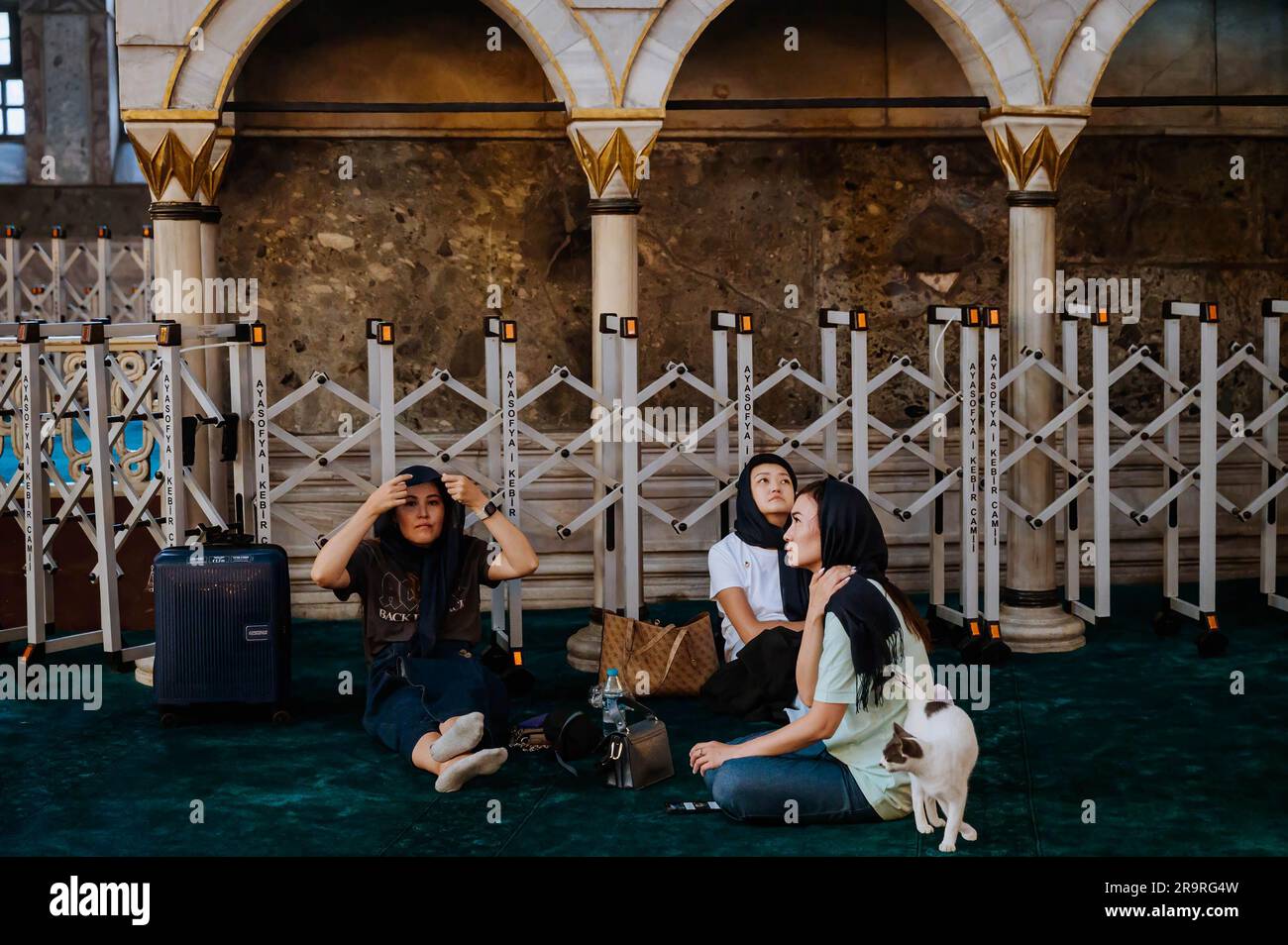 Istanbul, Türkei. 28. Juni 2023. Eine Katze, die in der Nähe ausländischer Touristen in der Moschee gesehen wurde. Am ersten Tag des muslimischen Opferfestes (Eid al-Adha oder Kurban Bayrami auf Türkisch) besuchen ausländische und einheimische Touristen die antike byzantinische Kirche Hagia Sofia (Ayasofya auf Türkisch, Hagia Sophia auf Englisch), die 2020 wieder in die große Moschee von Ayasofya umgewandelt wurde. Nachdem er 1935 in ein öffentliches Museum umgewandelt wurde. Kredit: SOPA Images Limited/Alamy Live News Stockfoto