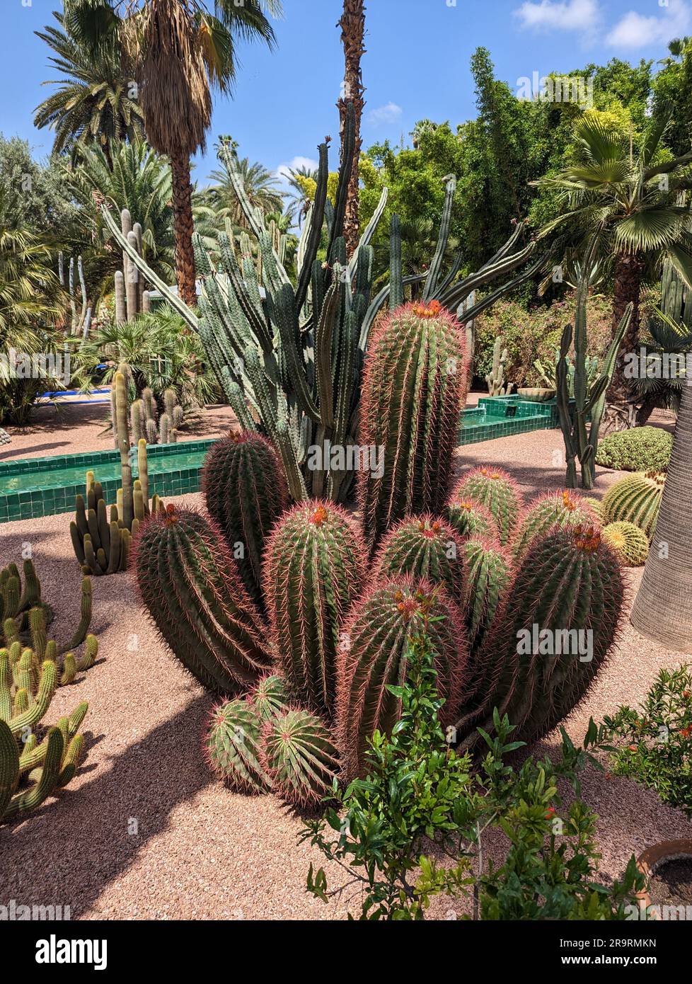 Friedlicher Park in der Nouvelle Ville von Marrakesch, Marokko Stockfoto