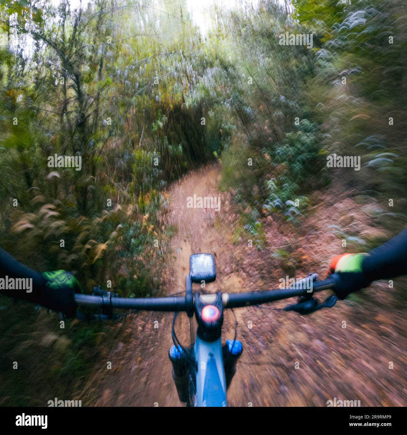 Fahren Sie mit dem Mountainbike aus der Sicht des Fahrers auf dem Lenker auf einem staubigen und schlammigen einspurigen Pfad Stockfoto