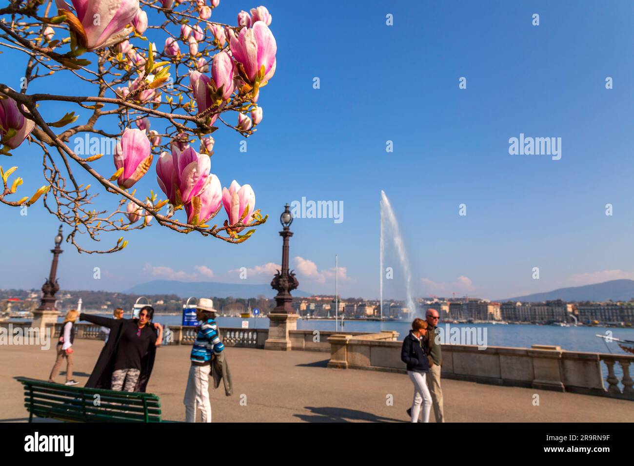 Genf, Schweiz - 25. März 2022: Malerischer Blick vom Genfer See an der Bucht von Genf, dem französischen Teil der Schweiz. Stockfoto