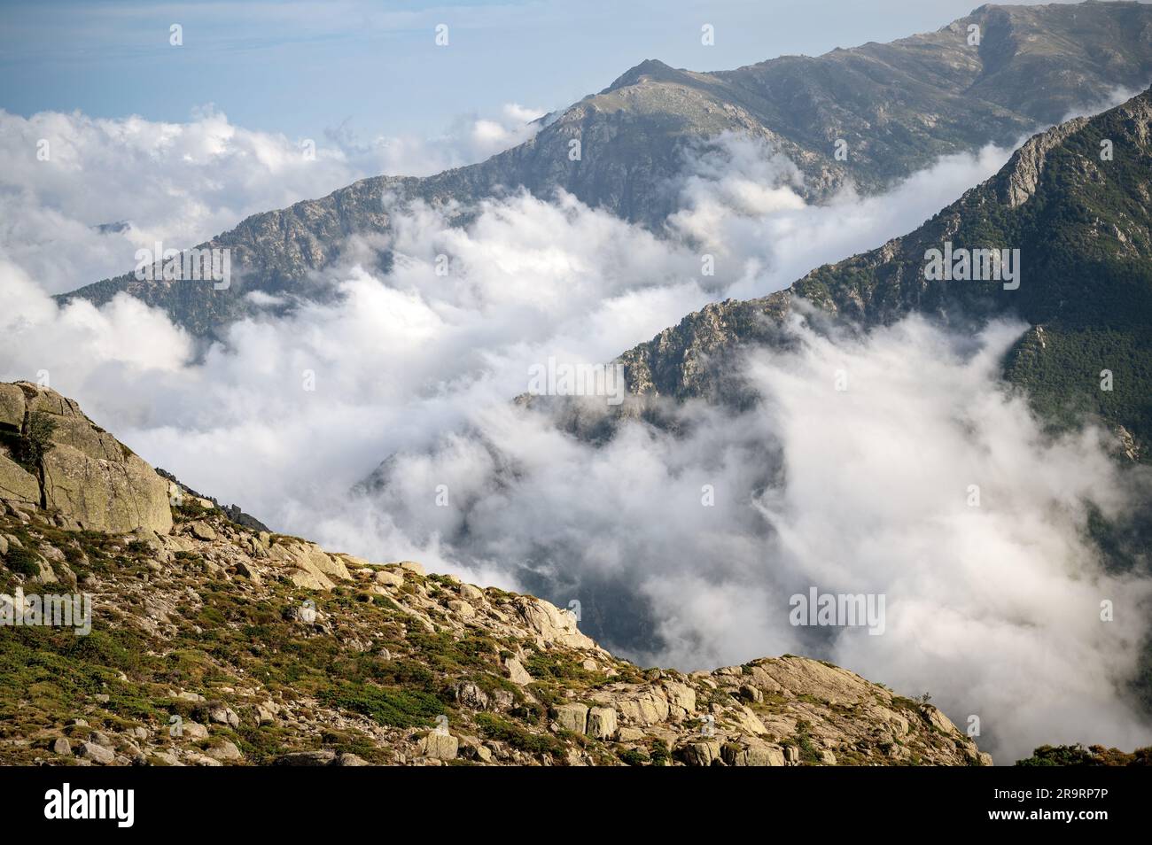 Wolken und Berge aus Usciolu Zufluchtsort, GR20, Korsika, Frankreich Stockfoto