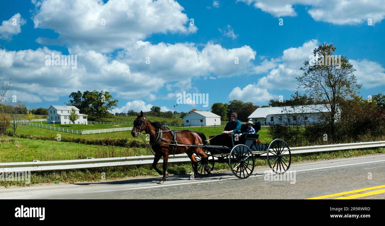 Amish Buggy auf der Country Road, Amish Country, Pennsylvania, USA Stockfoto