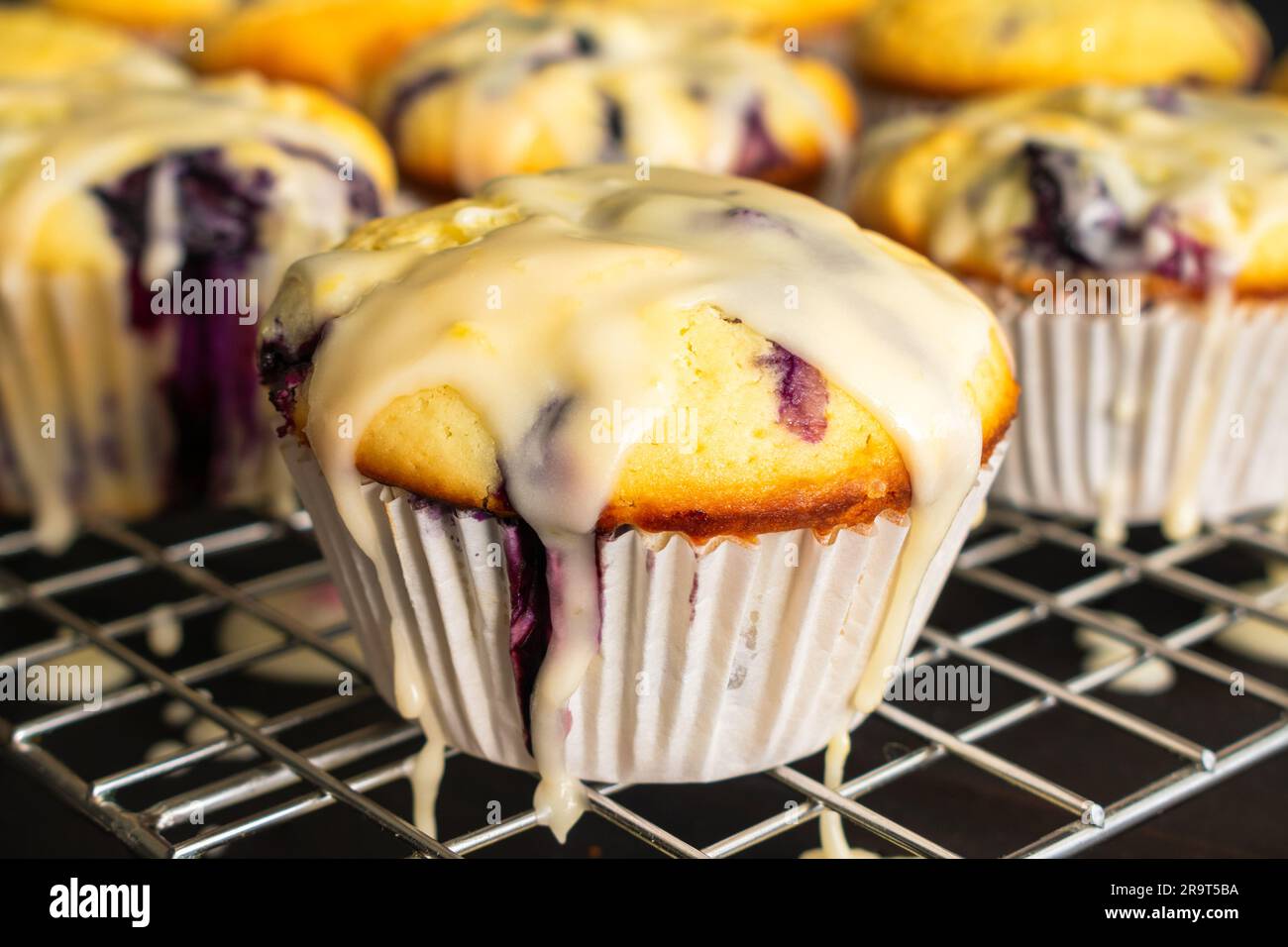 Nahaufnahme der Blaubeer-Muffins mit Lemon Glaze auf einem Kühlregal: Frisch gebackene Blaubeer-Muffins auf einem Drahtregal mit Blick von der Seite Stockfoto