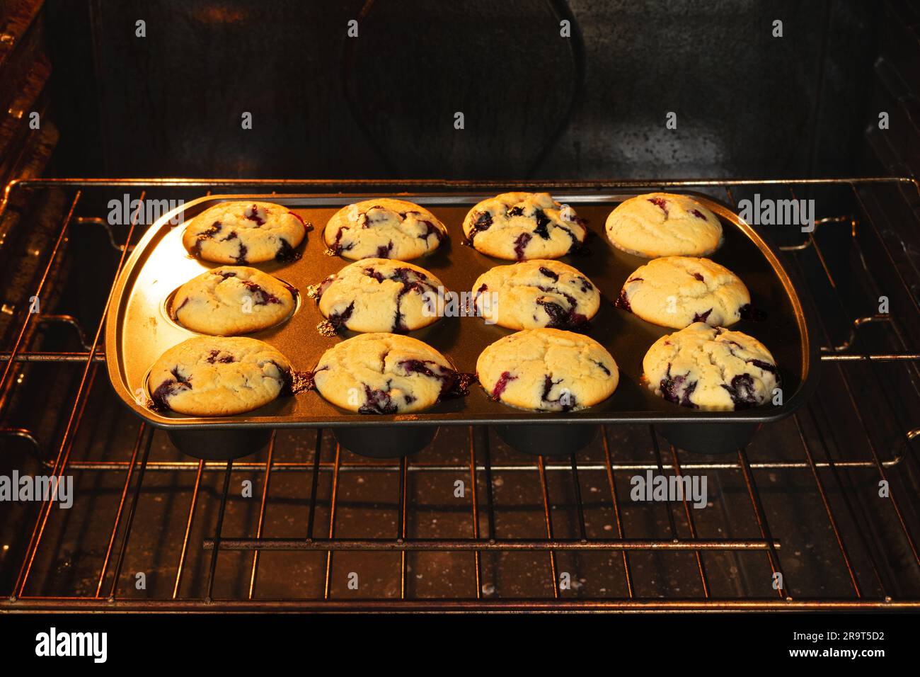 Tablett mit einem Dutzend Blaubeer-Muffins Backen im Ofen: Frisch gebackene Blaubeer-Muffins in einer Muffin-Pfanne auf einem Ofenständer Stockfoto