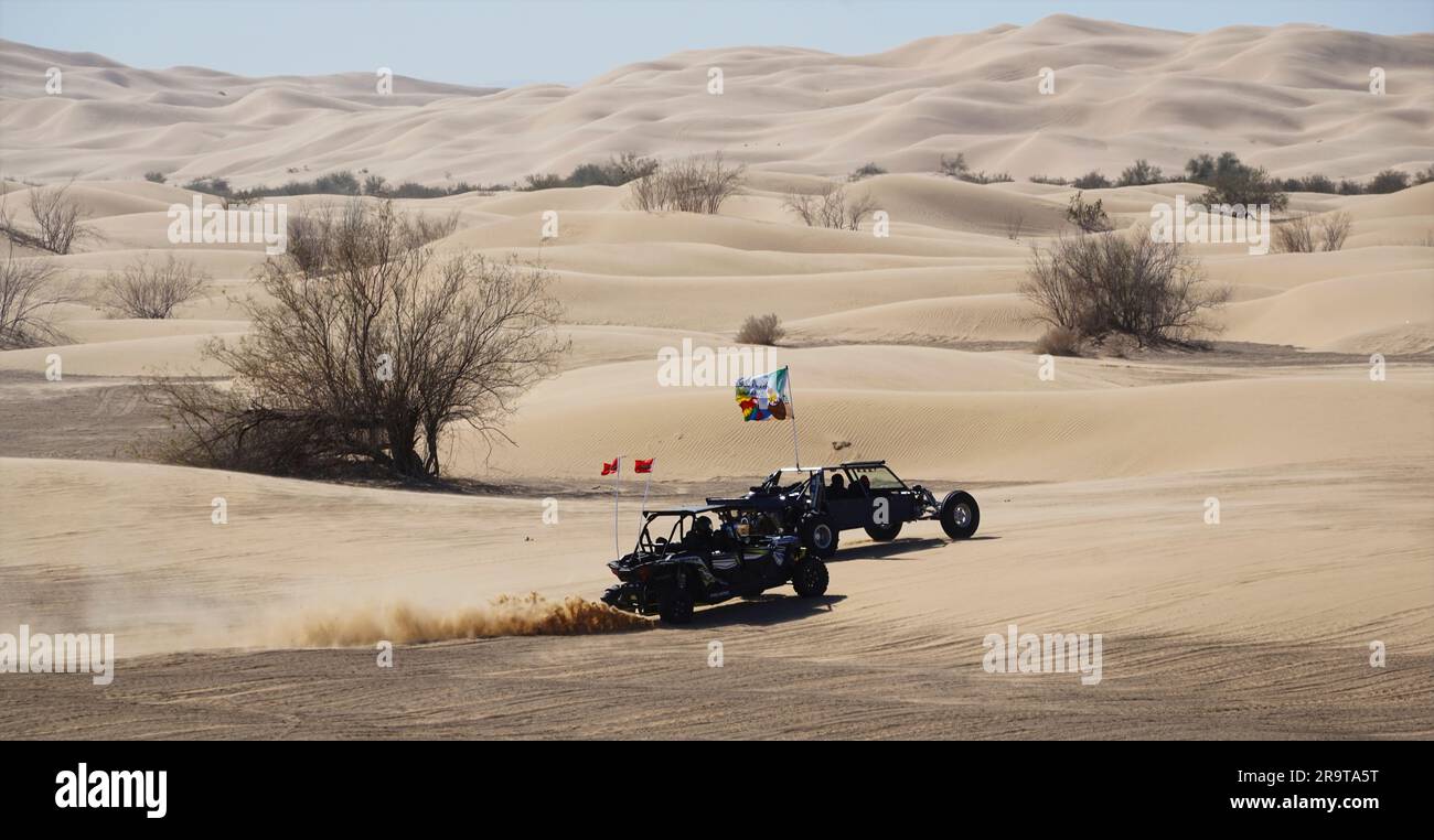 Geländefahrzeuge in der Wüste, Imperial Sand Dunes, in der Nähe von Yuma, Arizona, USA Stockfoto