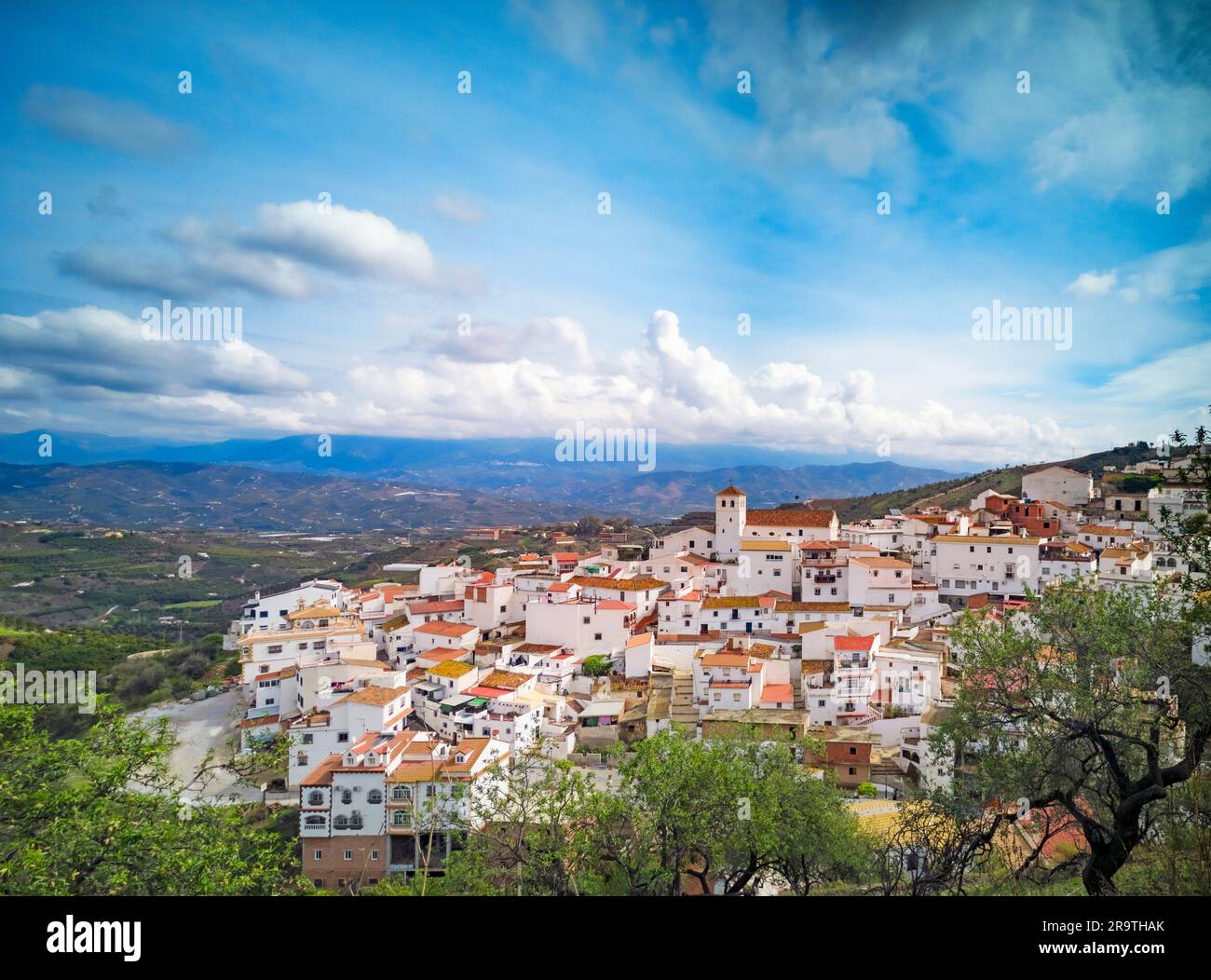 Weißes Dorf Iznate, Provinz Malaga, Andalusien, Spanien Stockfoto