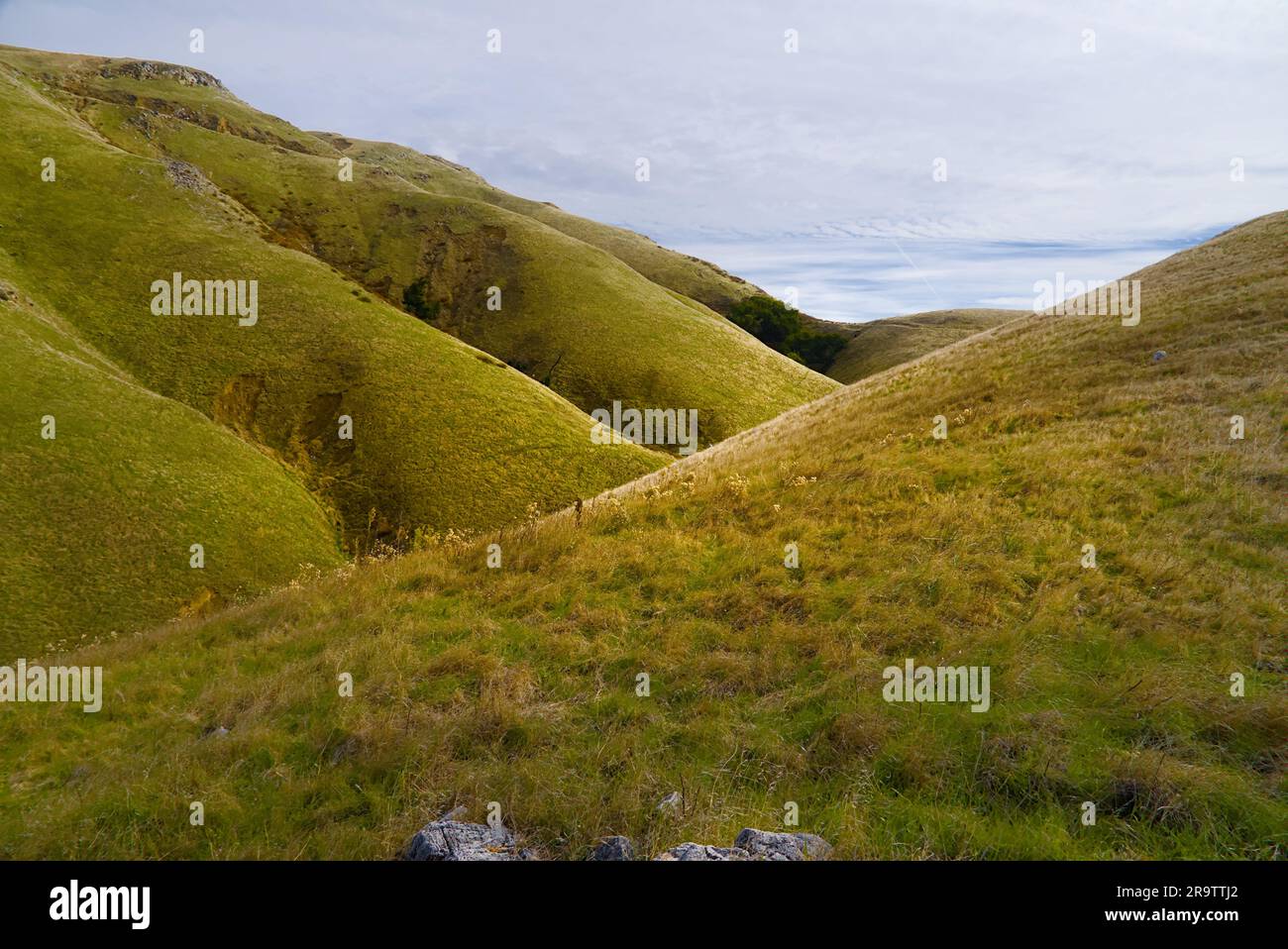 Kalifornische Berge nahe der Küste unter blauem Himmel mit weißen Wolken. Stockfoto