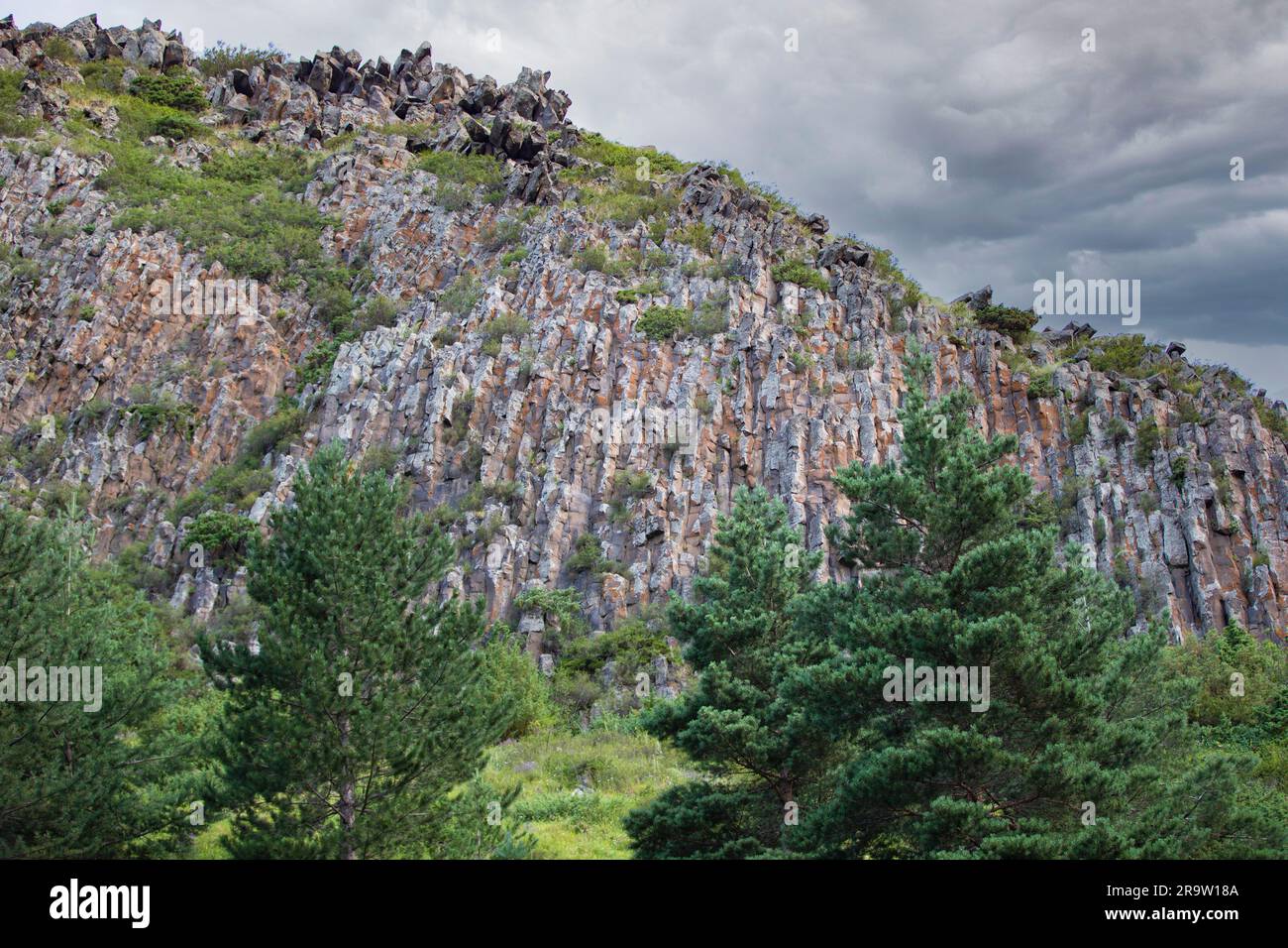 Grüne Fichte im Hintergrund der felsigen Berge von Georgia. Stockfoto