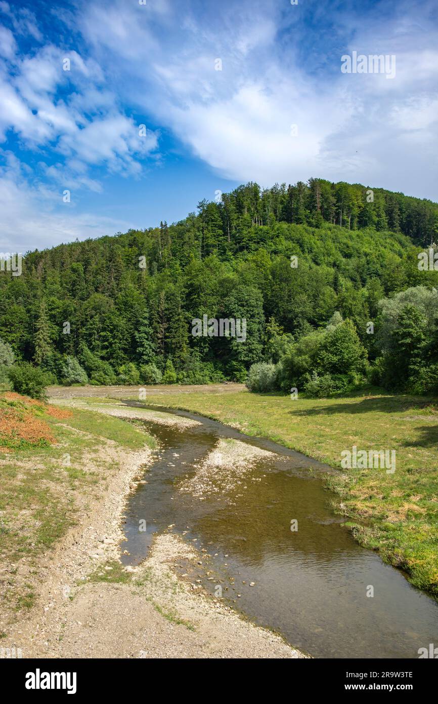 Zwei Flüsse treffen sich am Fuße eines Bergwaldes, wunderschöne rumänische Landschaft Stockfoto