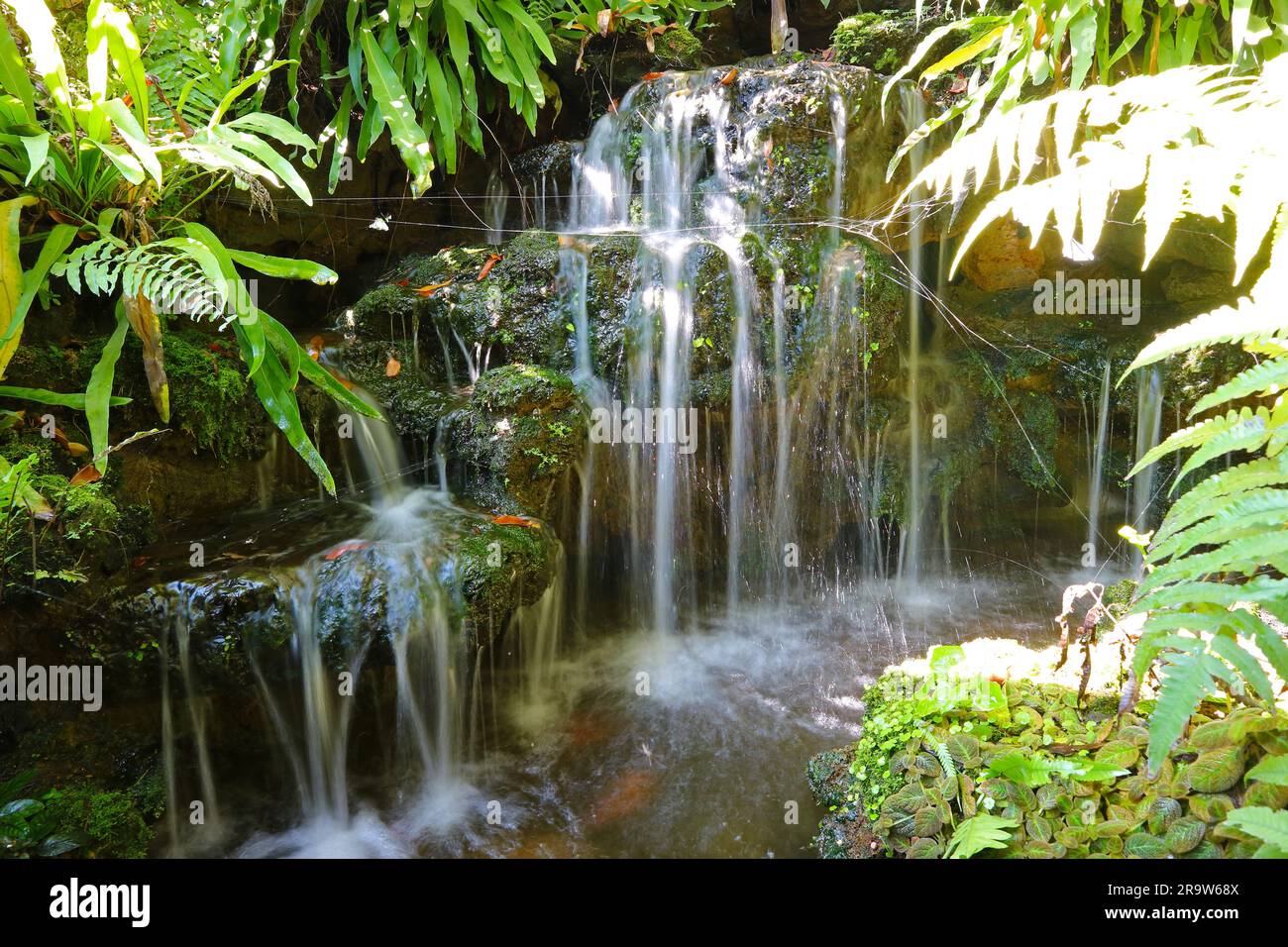 Kaskadierende Gartenwasserfälle mit grünem Laub im Vordergrund Stockfoto