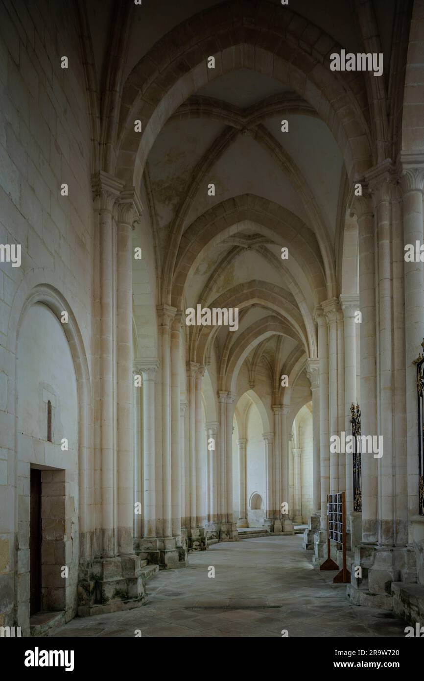 Pontigny Abbey Auxerre Yonne Frankreich Stockfoto