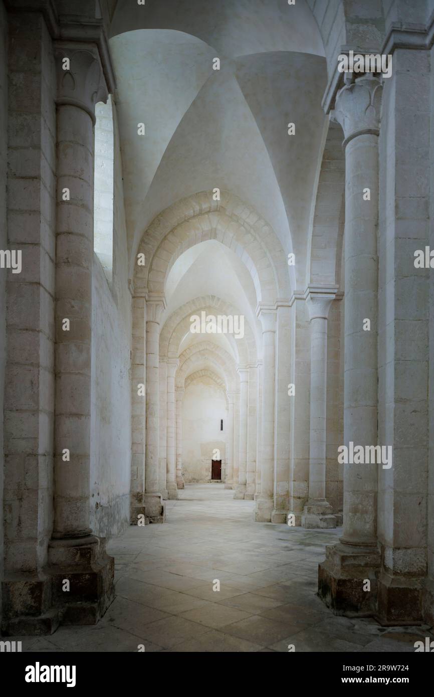 Pontigny Abbey Auxerre Yonne Frankreich Stockfoto