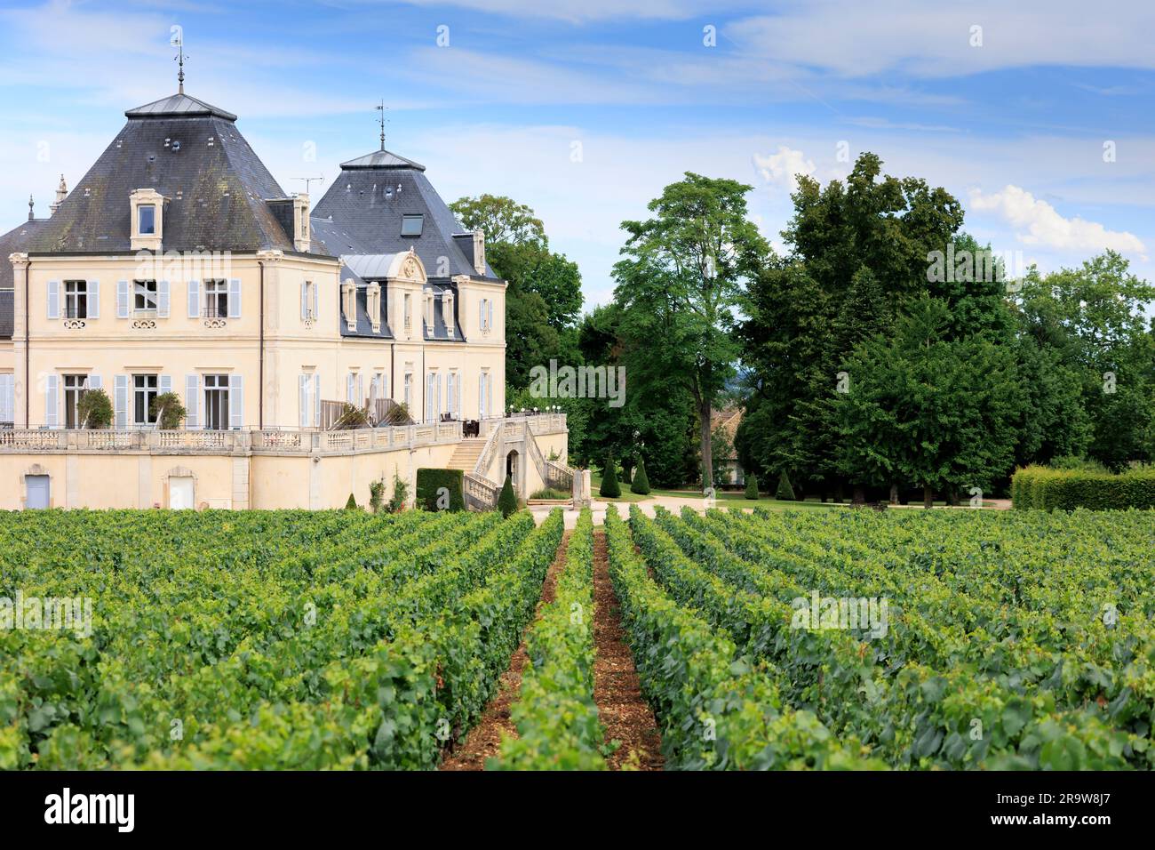 Blick über die Weinberge zum Chateau de Meursault Meursault Beaune Cote-d-or France Stockfoto