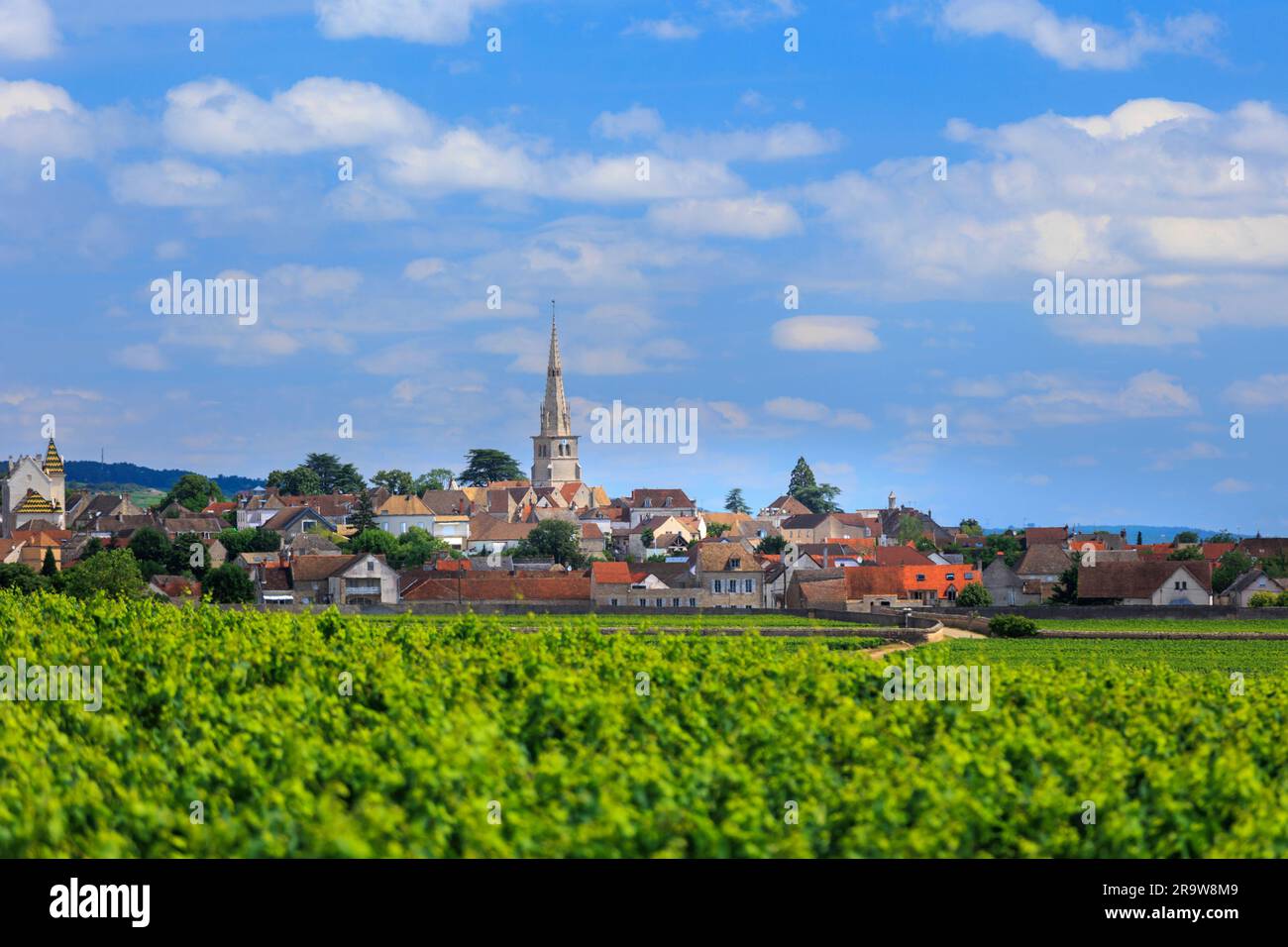 Auf der anderen Seite der Weinberge Meursault Beaune Cote-d-or France Stockfoto