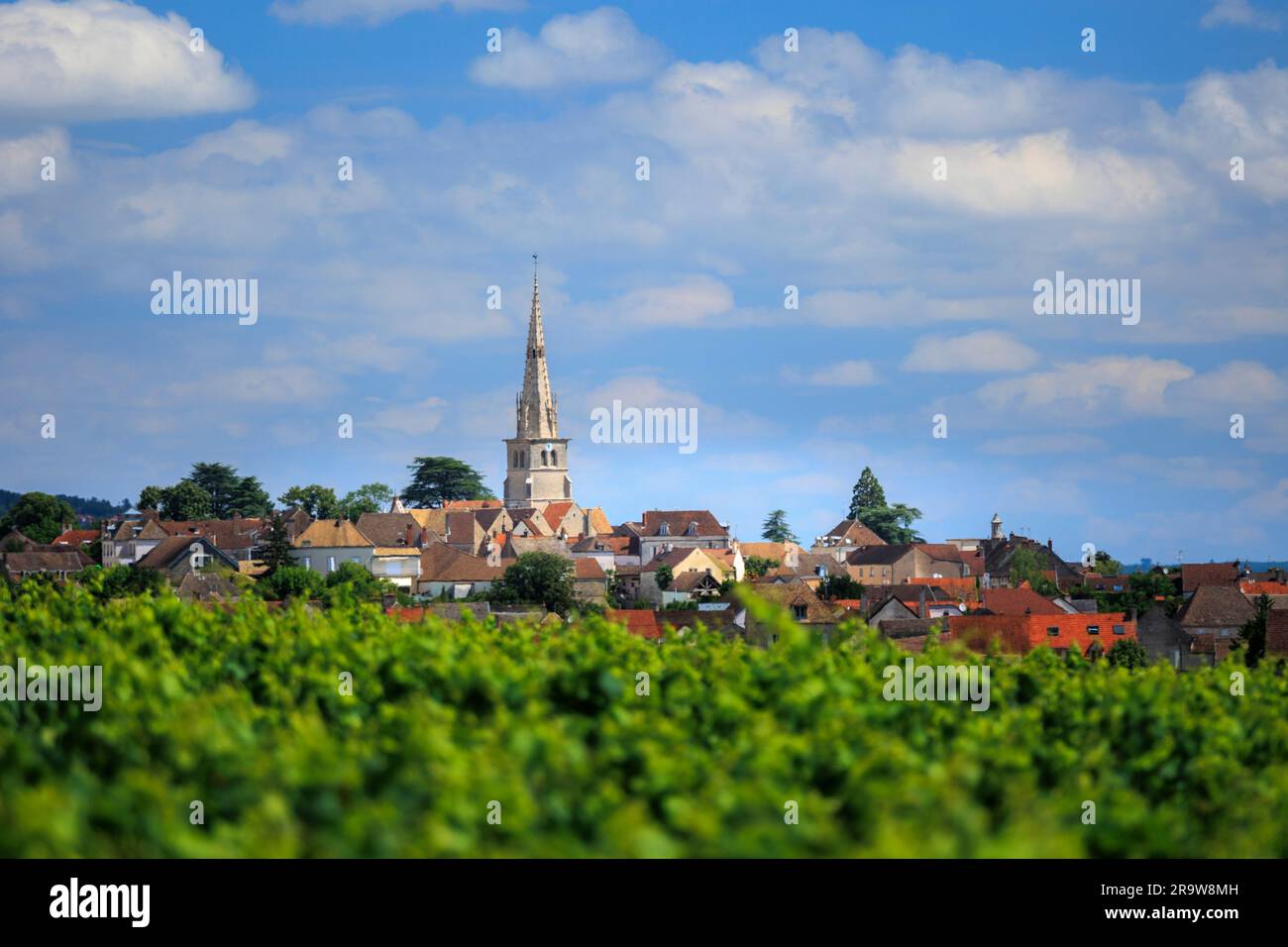 Auf der anderen Seite der Weinberge Meursault Beaune Cote-d-or France Stockfoto