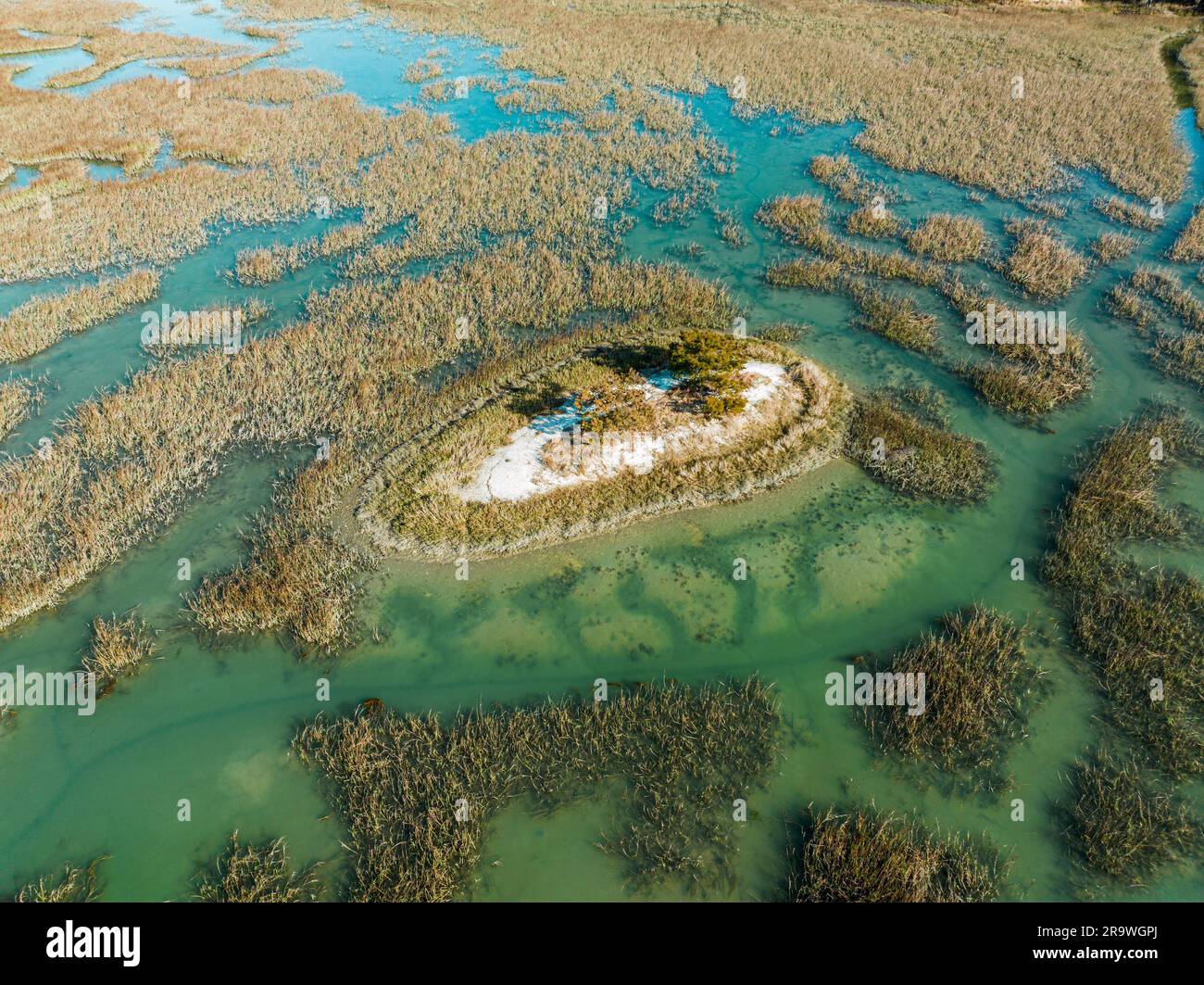 Das türkisfarbene Wasser von Murrells Inlet, South Carolina, ist von üppigem Grün umgeben Stockfoto