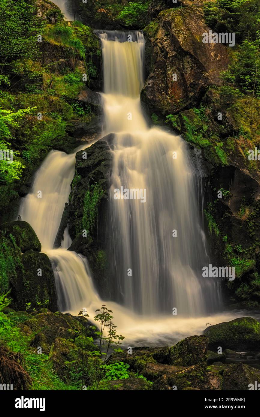 Triberg Wasserfälle, Triberg, Schwarzwald, Baden-Württemberg, Deutschland Stockfoto