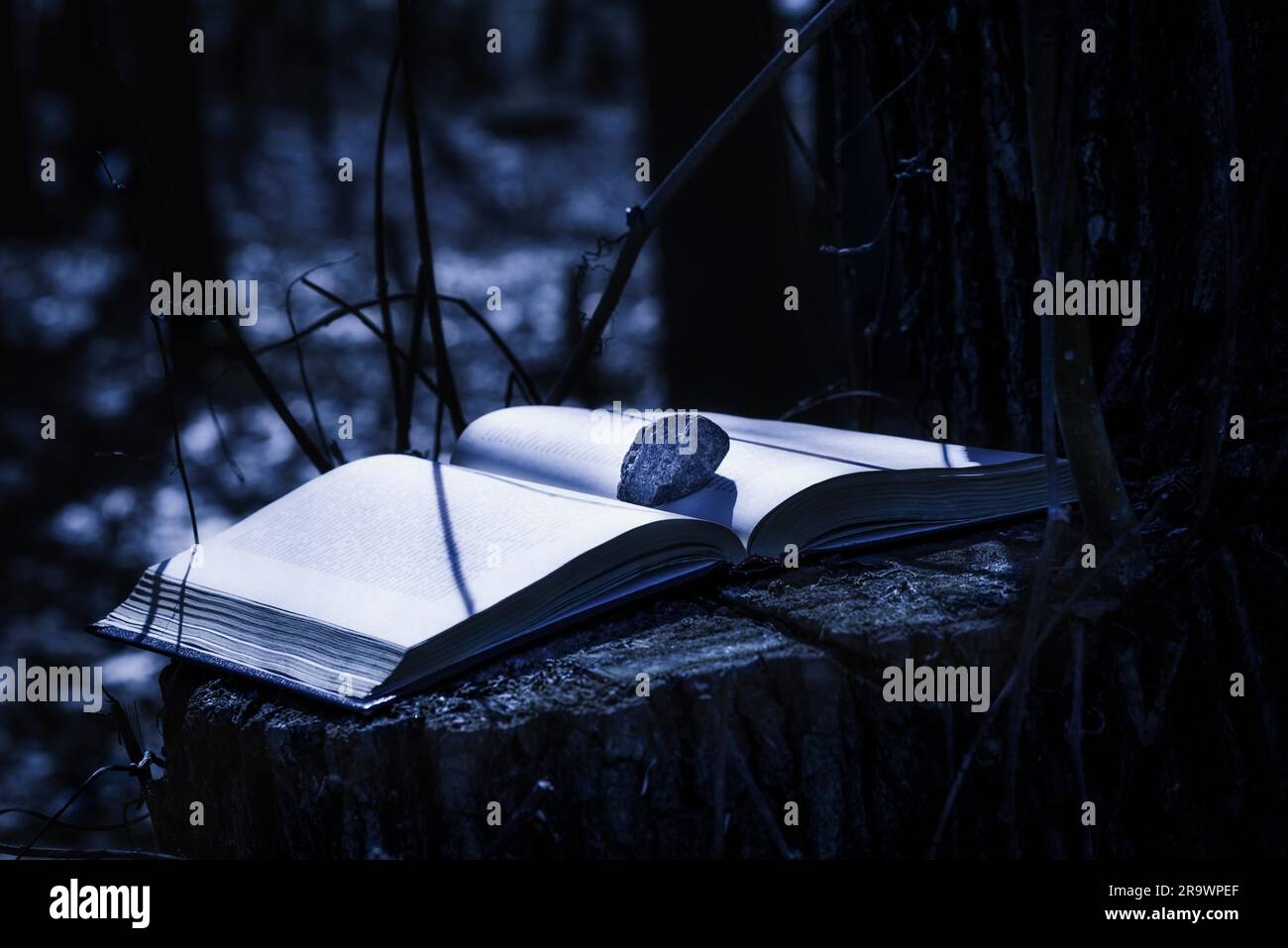 Ein geheimnisvolles Buch bleibt auf dem Baumstamm mit einem Stein auf einer Seite. Der Mond erhellt den Wald Stockfoto