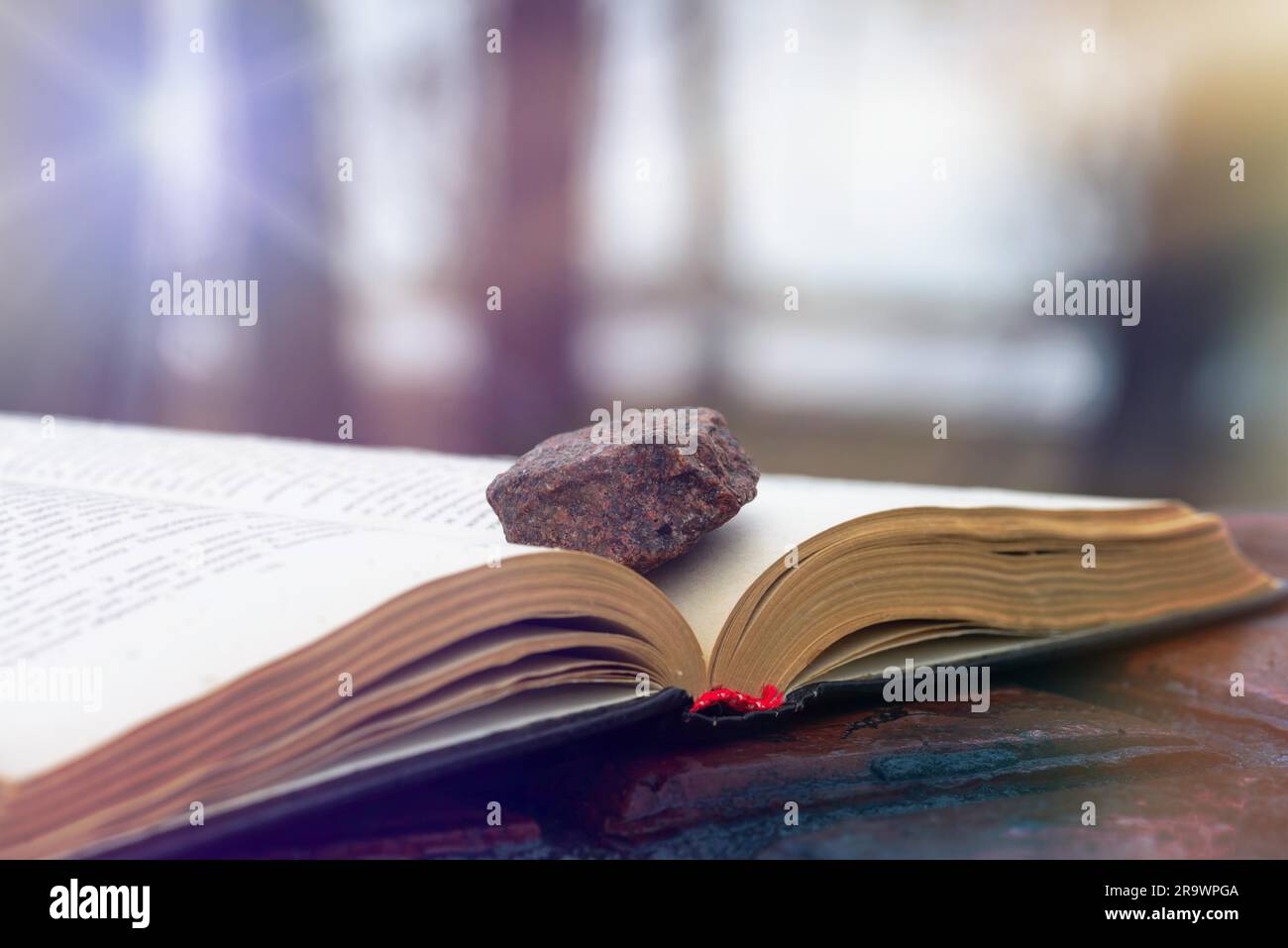 Stein auf ein offenes Buch setzen auf rot nassen Fliesen. Die Sonnenstrahlen Blinzeln durch die Äste Stockfoto
