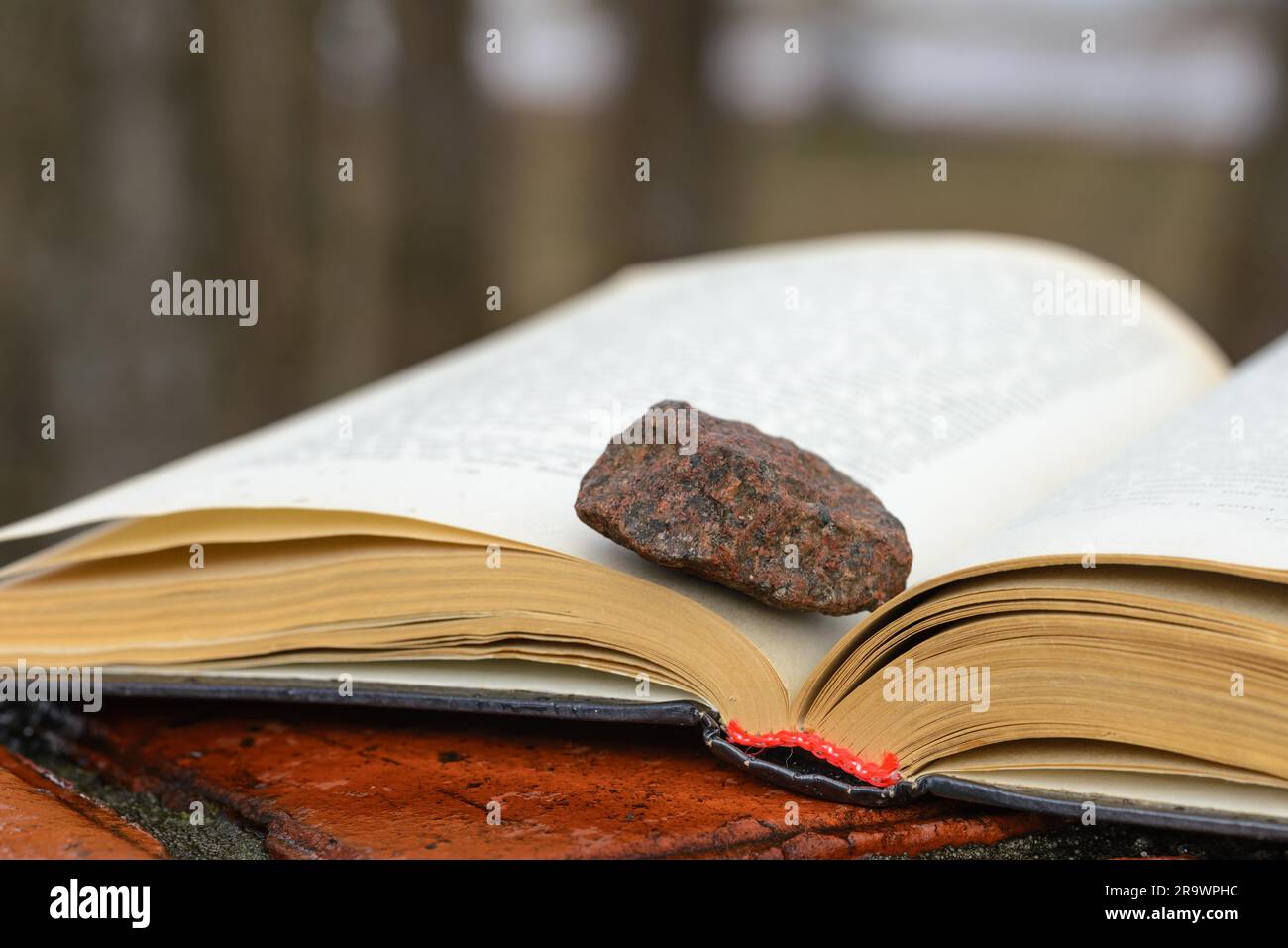 Stein auf ein offenes Buch setzen auf rot nassen Fliesen an einem regnerischen Tag im Park in der Nähe des Stockfoto