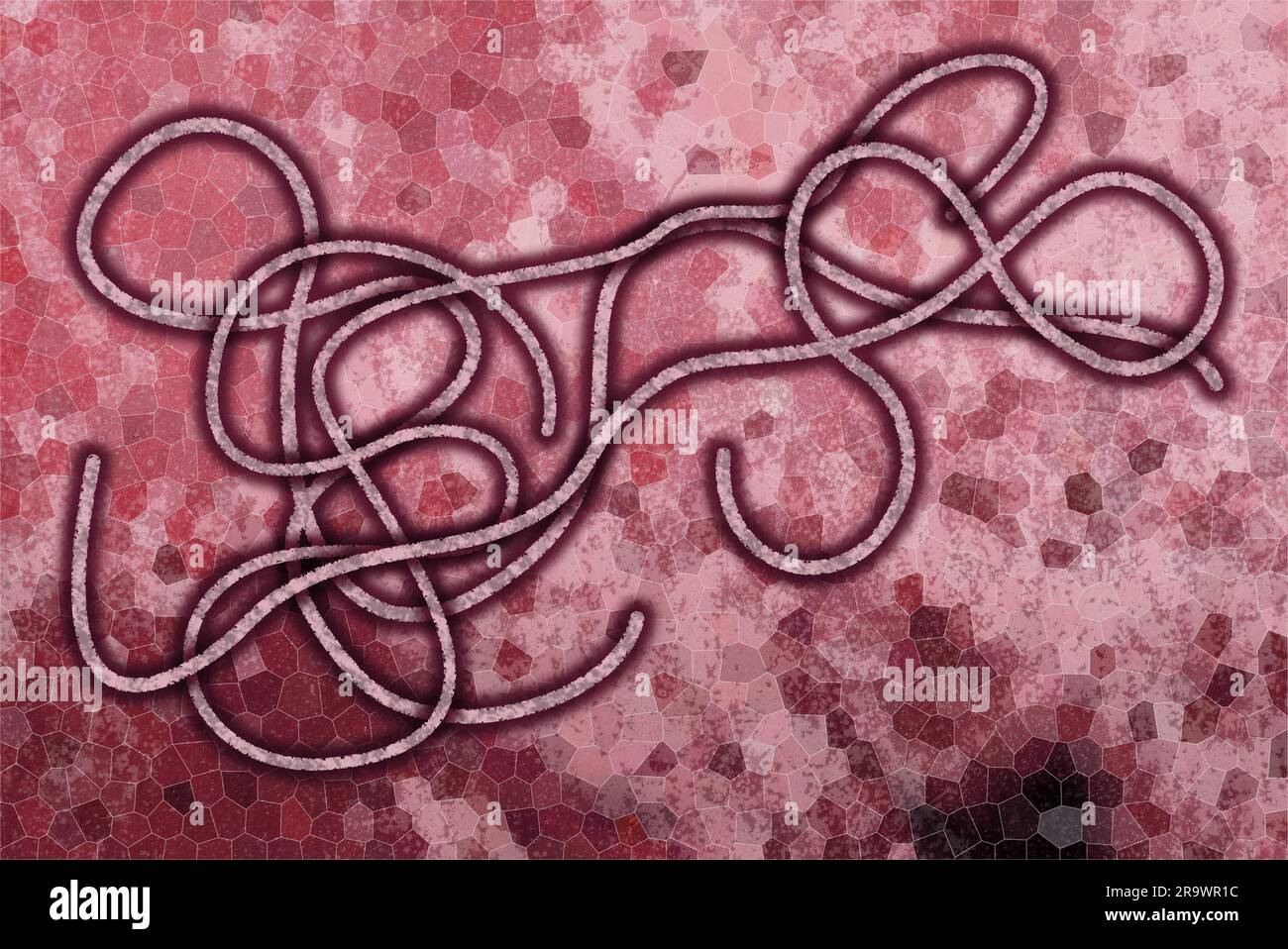 Grafische Darstellung des Ebola-Virus auf rosa Hintergrund Stockfoto