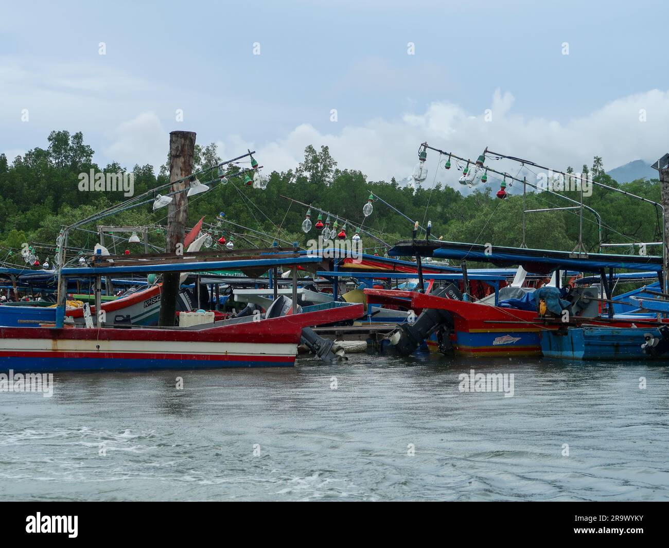 Magroves. Langkawi, Malaysia Stockfoto