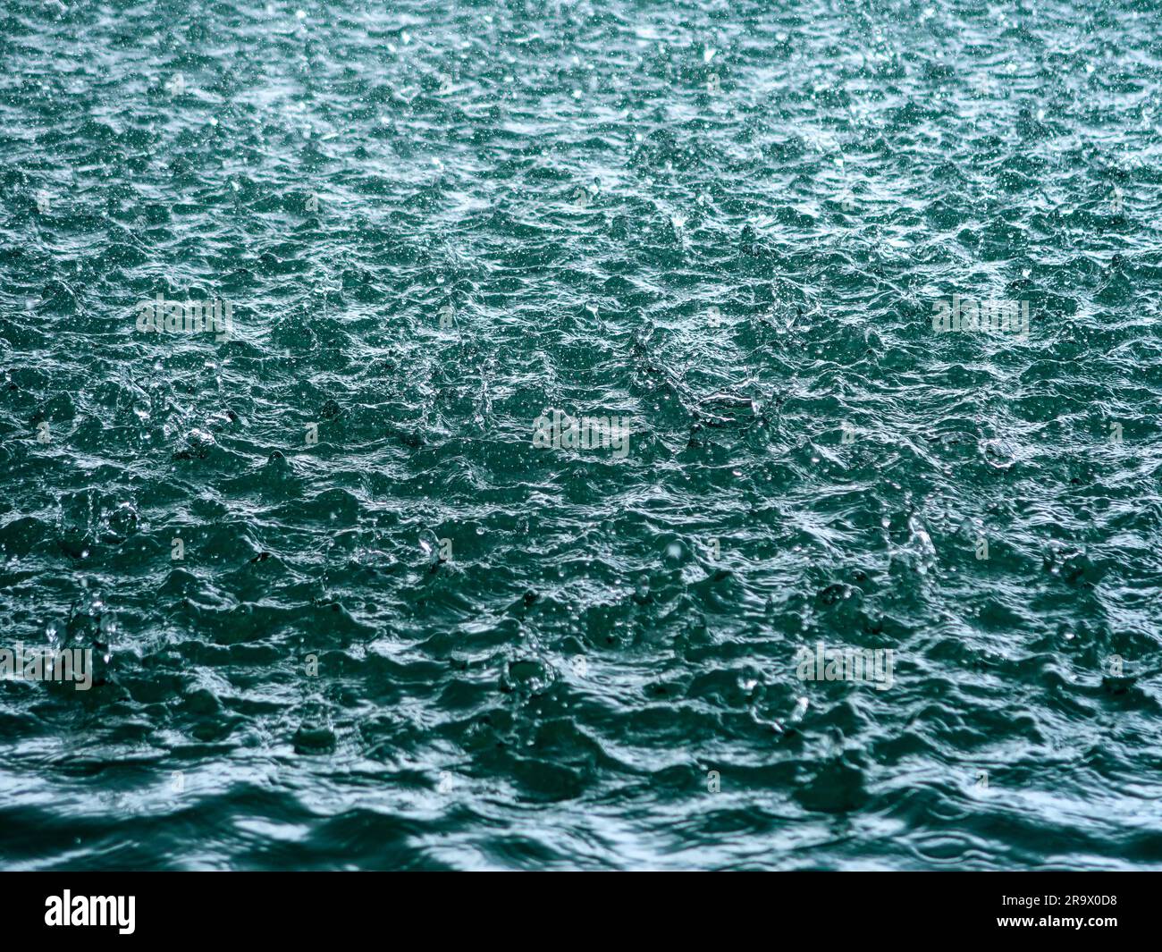 Magroves. Langkawi, Malaysia Stockfoto