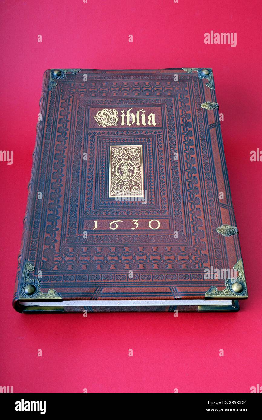 Alte bibel in Leder gebunden, Gutenberg-bibel imitiert, Buch, ausgeschnitten, Objekt Stockfoto