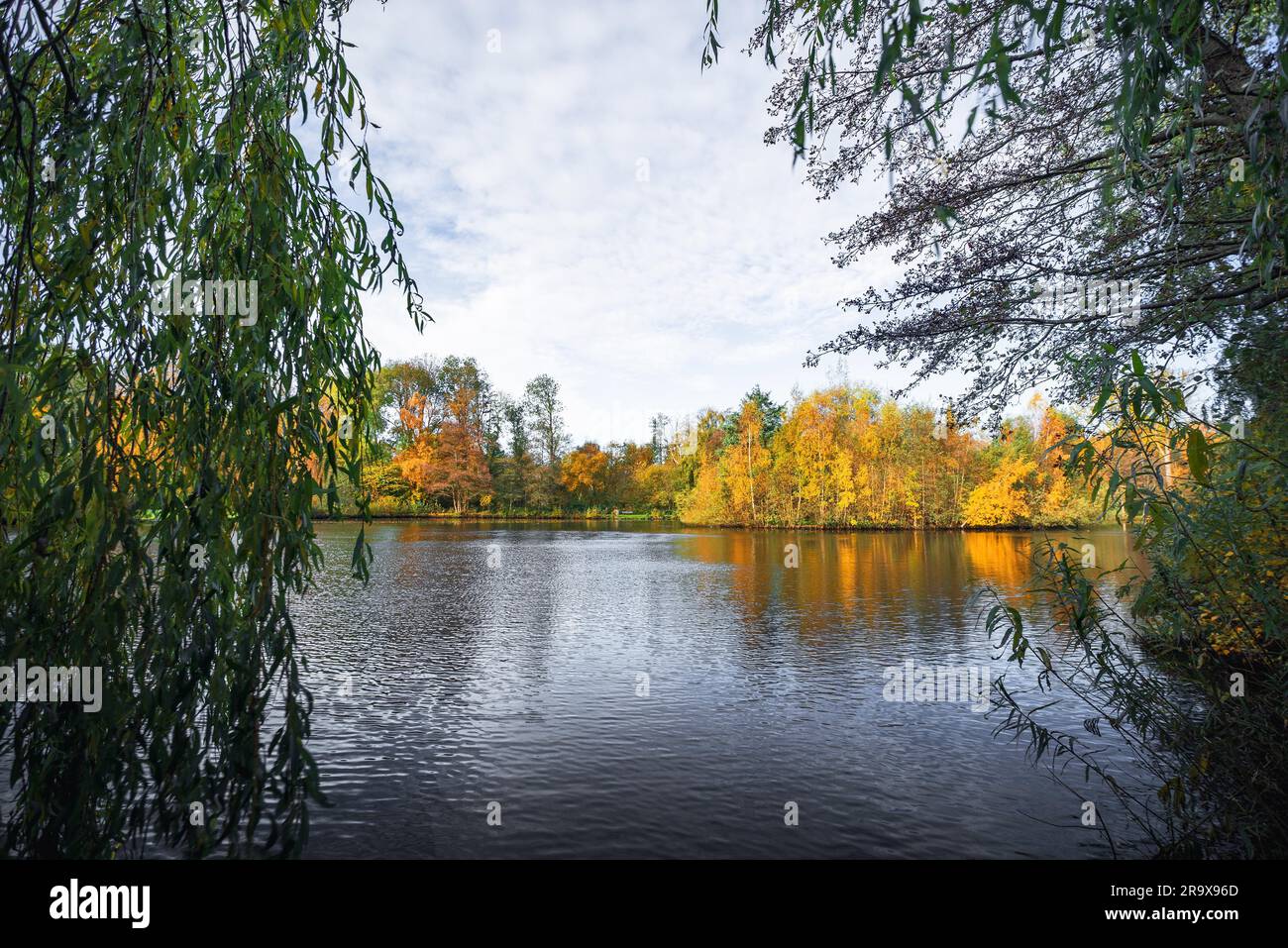 Bunte Bäume im Herbst an einem See in eine herbstliche Landschaft im goldenen Herbst Farben Stockfoto