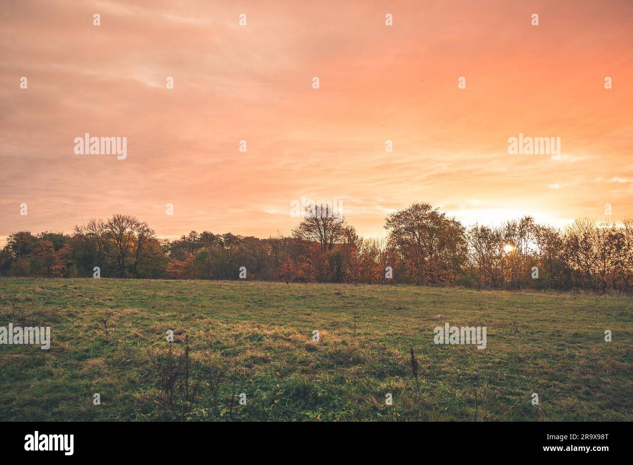 Landschaft Sonnenuntergang mit orange Farben in den Himmel in einer ländlichen Landschaft mit grünen Wiesen und bunten Bäumen im Herbst Stockfoto