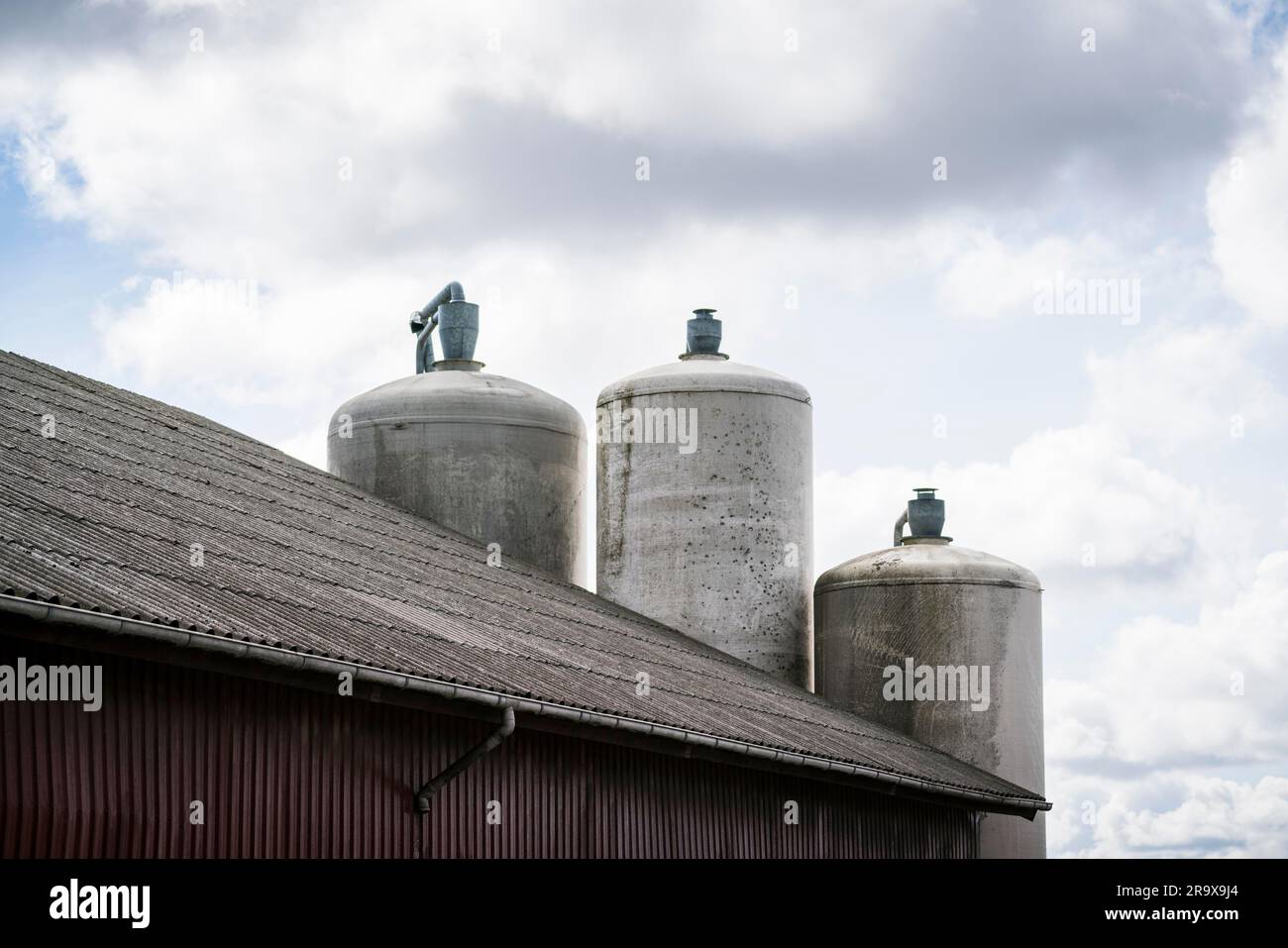 Silos in eine schmutzige Grunge-Look von einer Scheune in ländlicher Umgebung Stockfoto